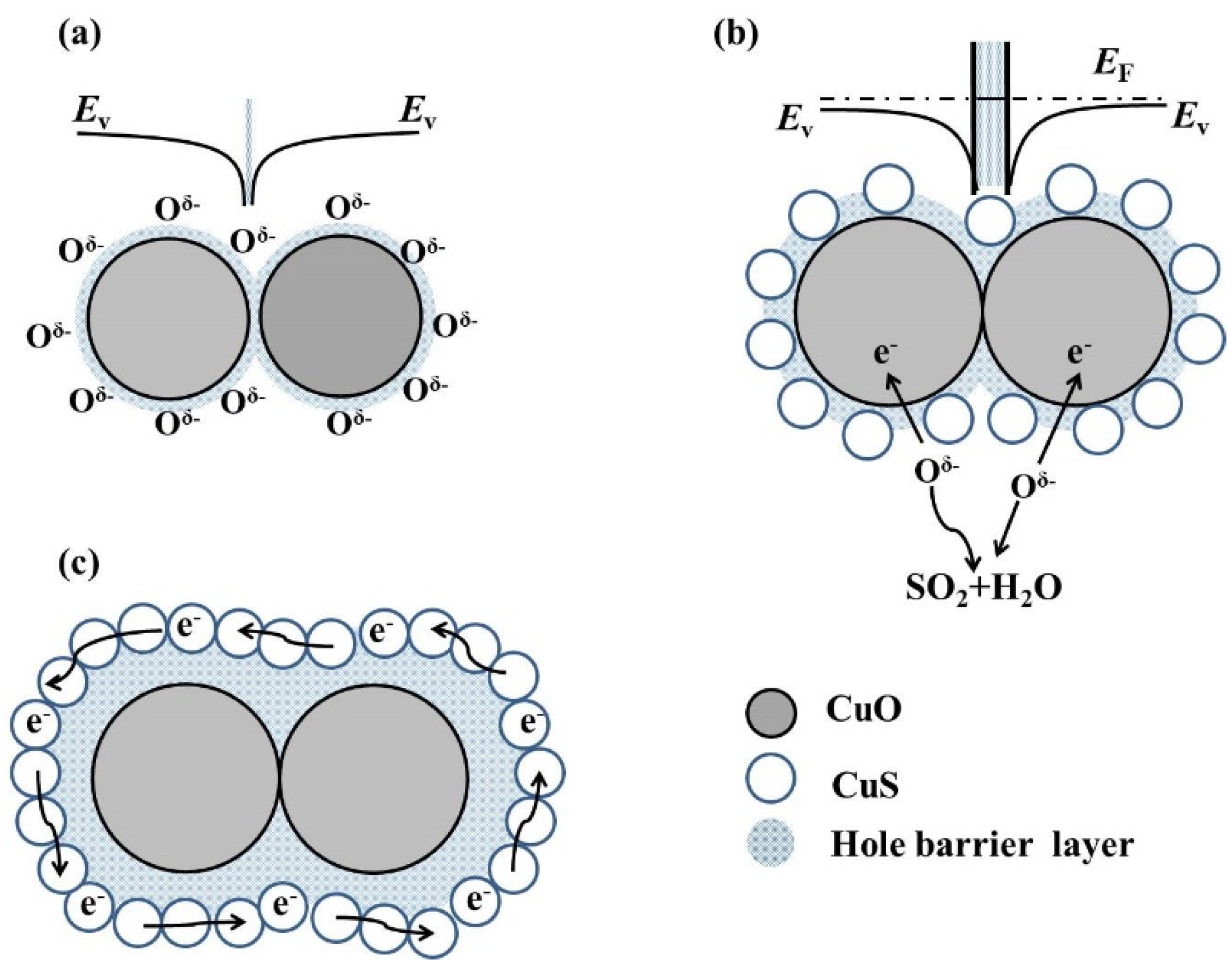 Nanomaterials 10 00774 g011 Nanomaterials 10 00774 g011