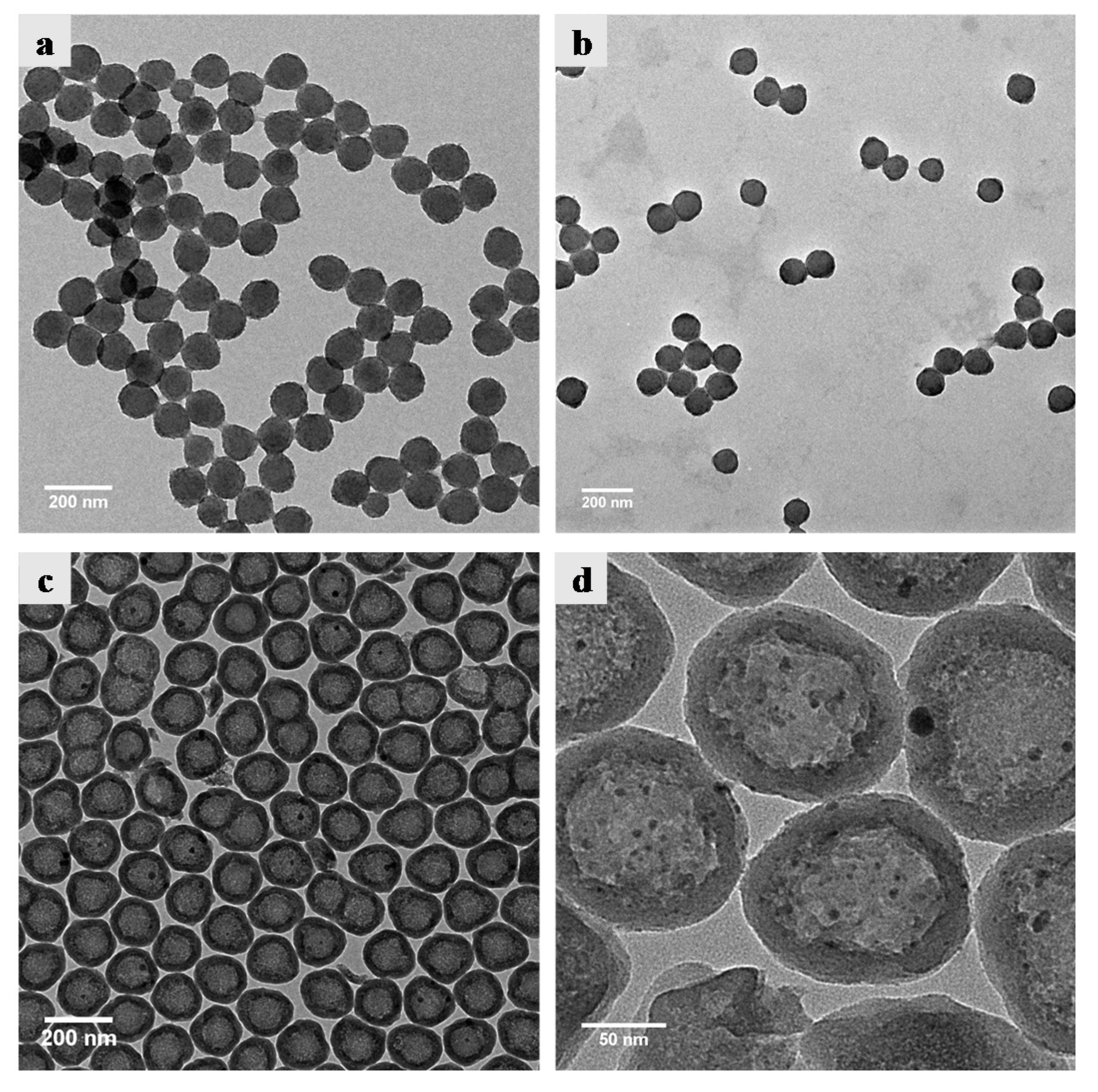Nanomaterials 10 00799 g002