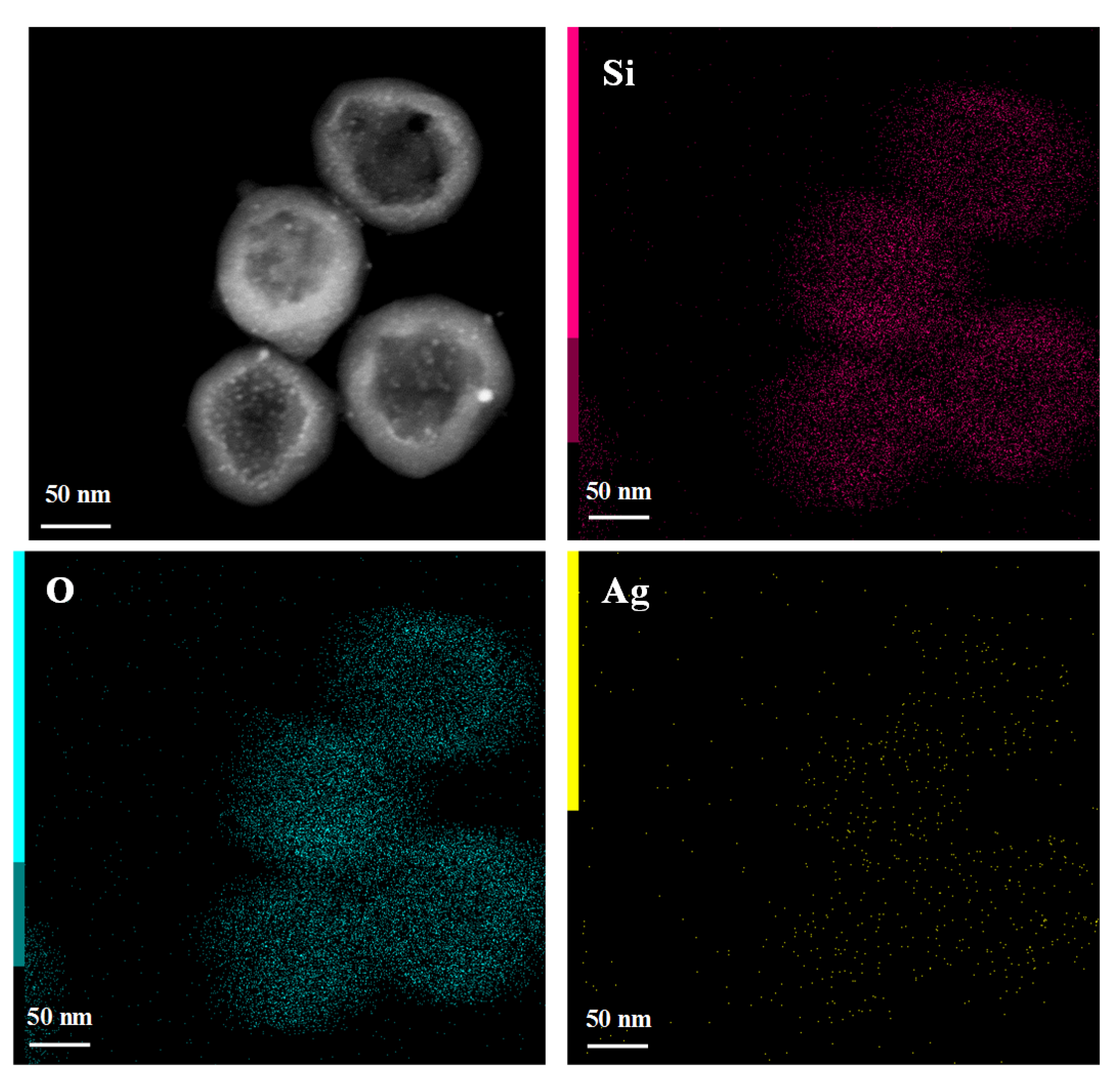 Nanomaterials 10 00799 g003