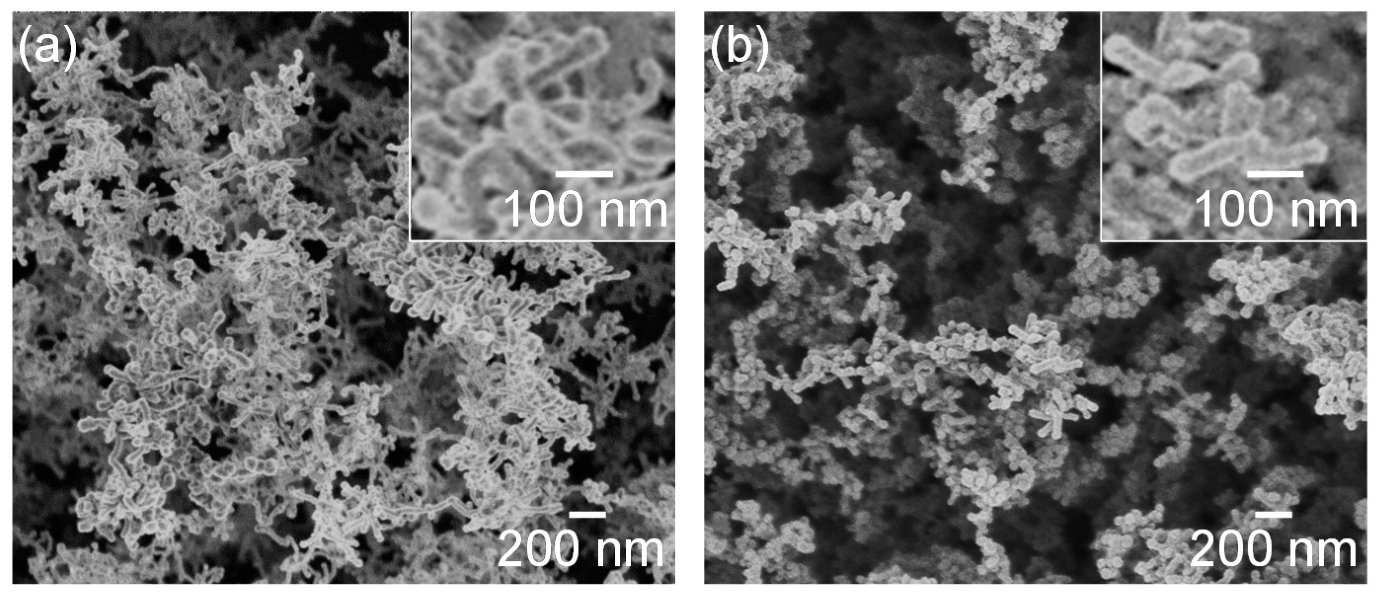 Nanomaterials 10 00812 g009