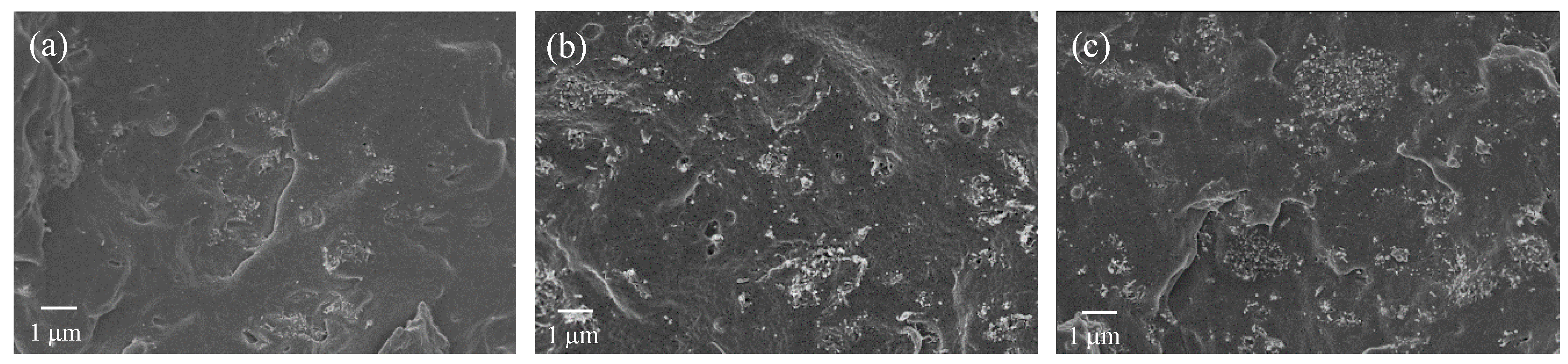 Nanomaterials 10 00814 g006