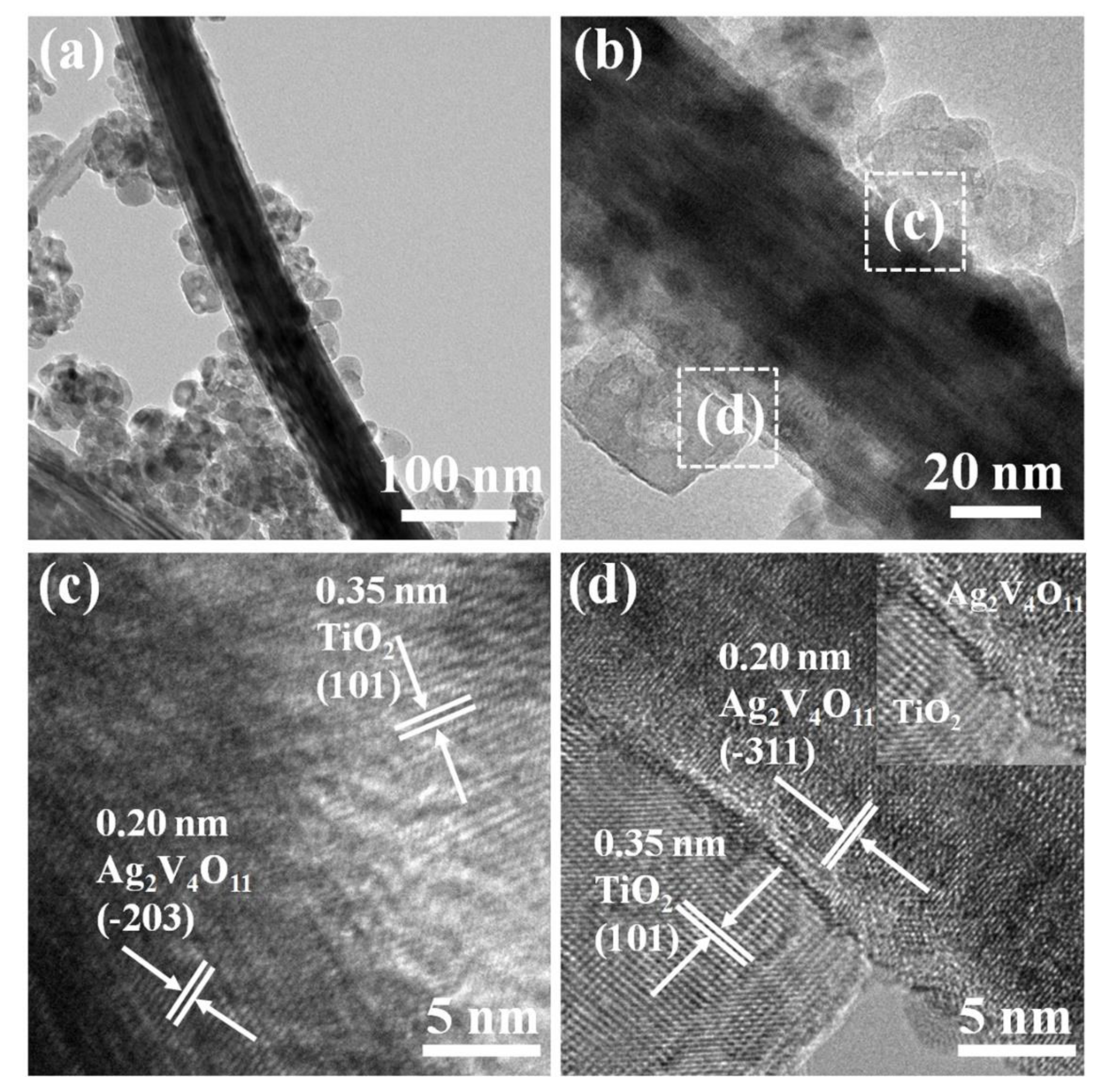 Nanomaterials 10 00828 g005 Nanomaterials 10 00828 g005
