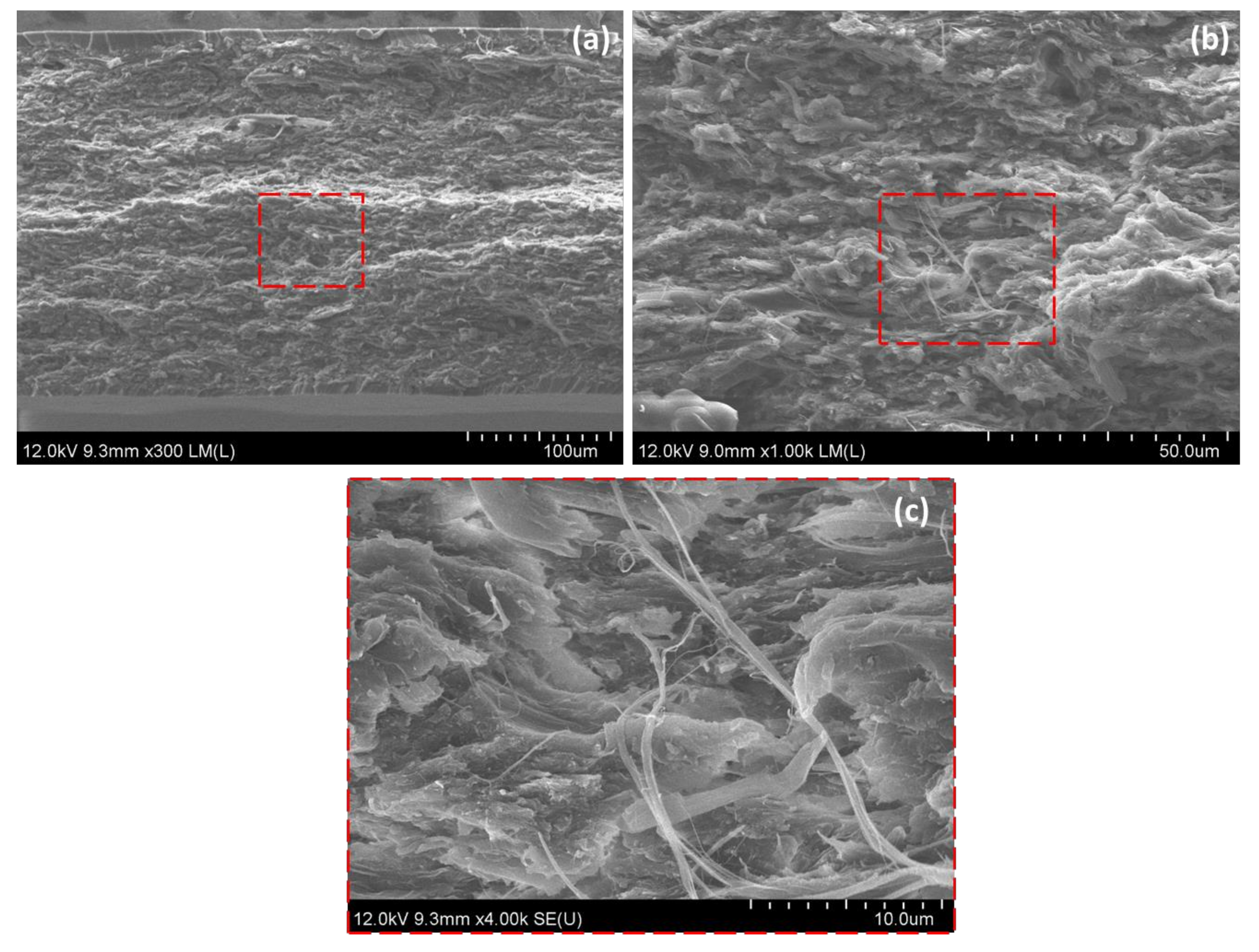 Nanomaterials 10 00841 g009