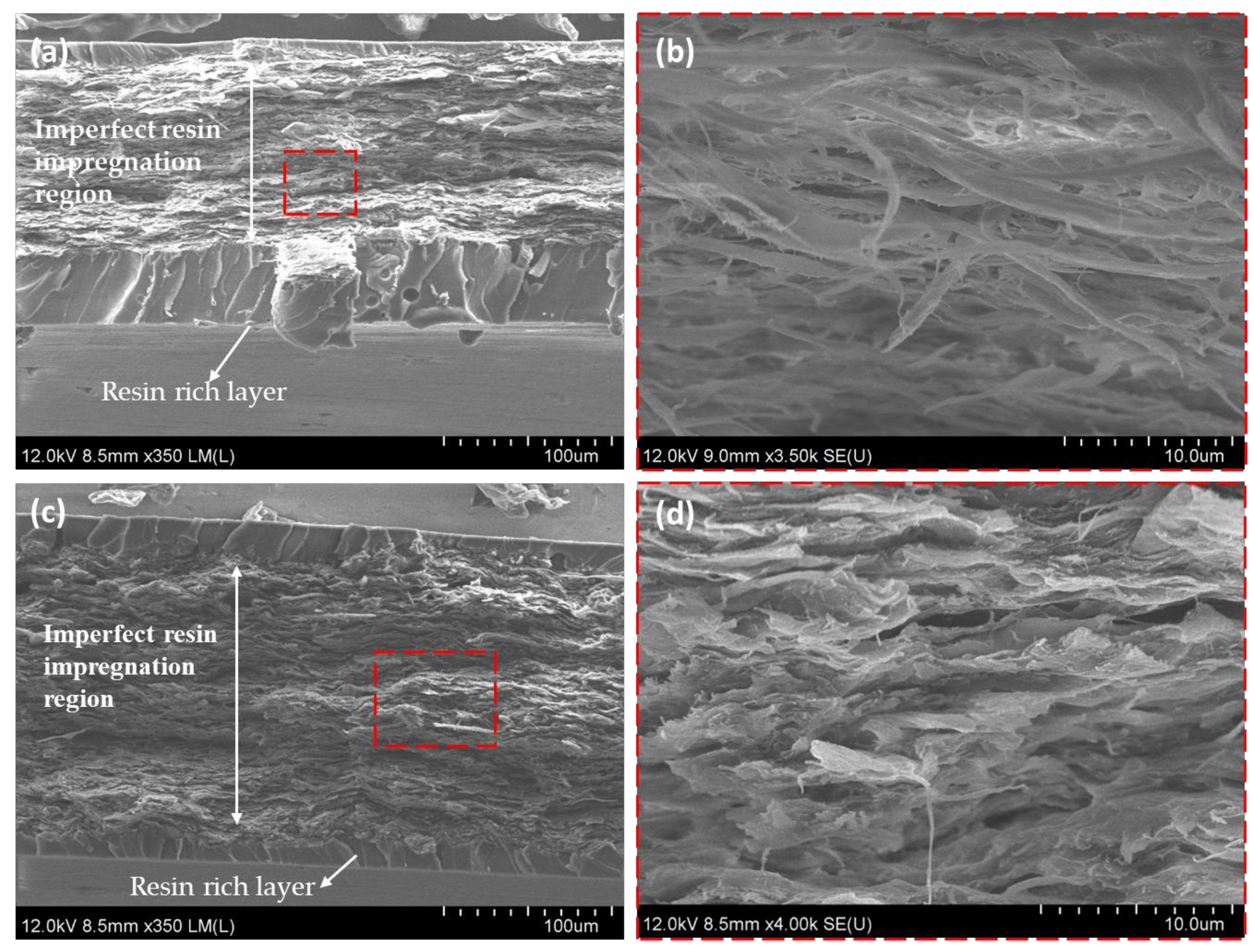 Nanomaterials 10 00841 g010