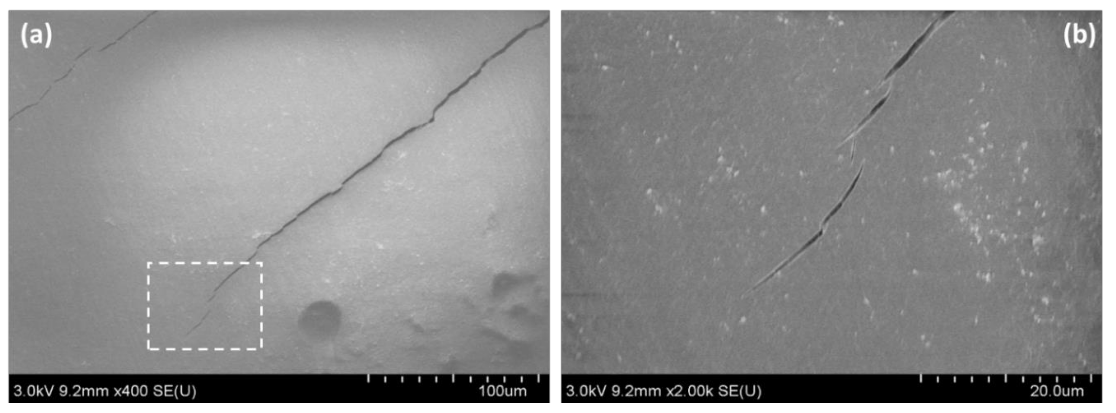 Nanomaterials 10 00841 g012