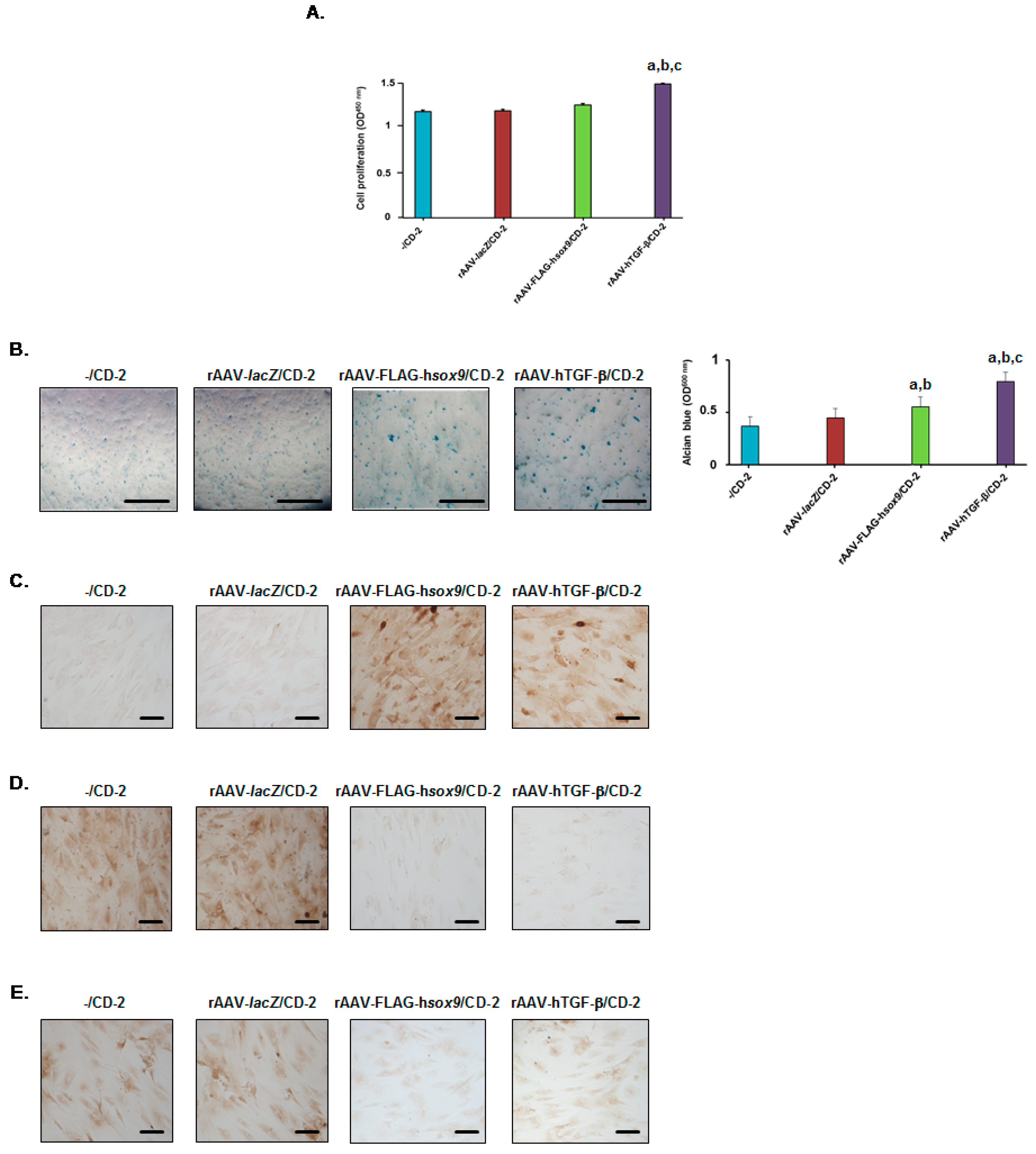 Nanomaterials 10 00855 g006