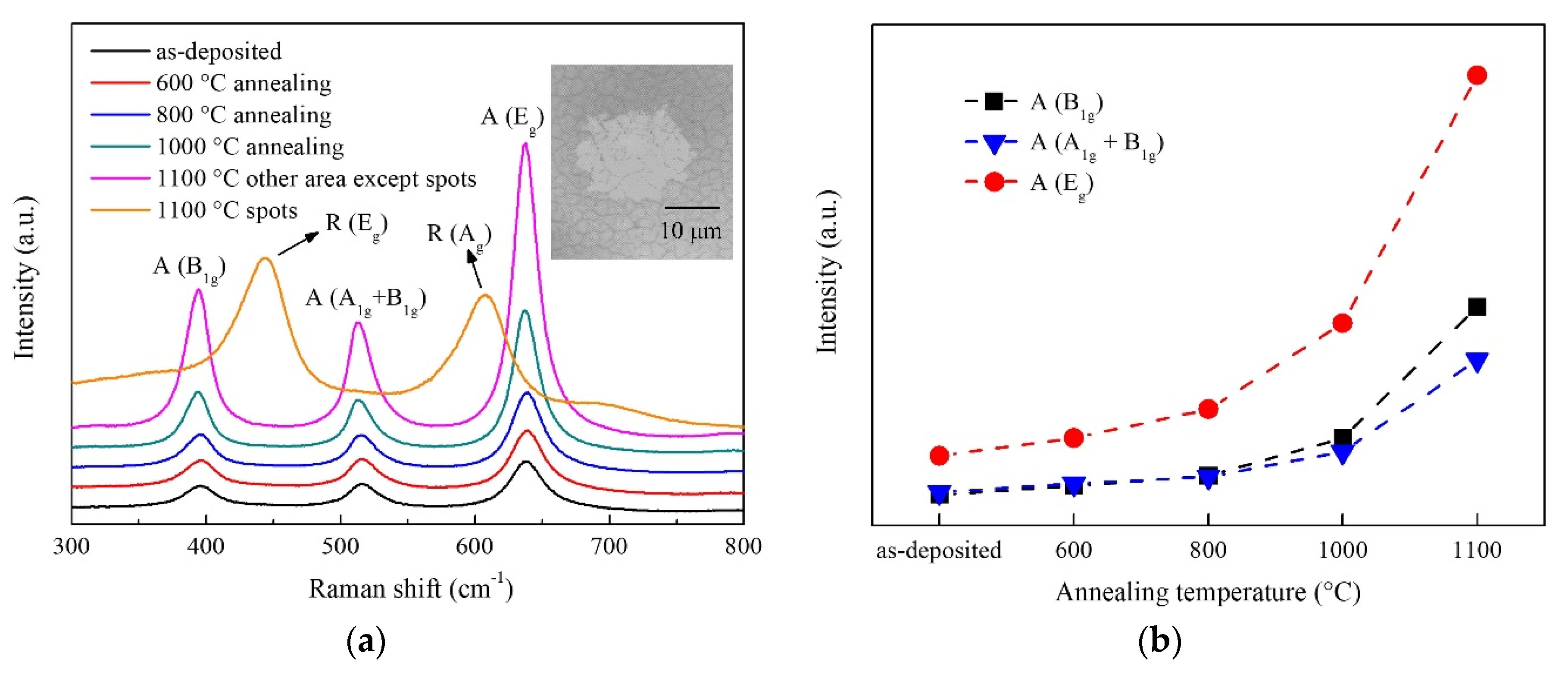 Nanomaterials 10 00911 g003 Nanomaterials 10 00911 g003