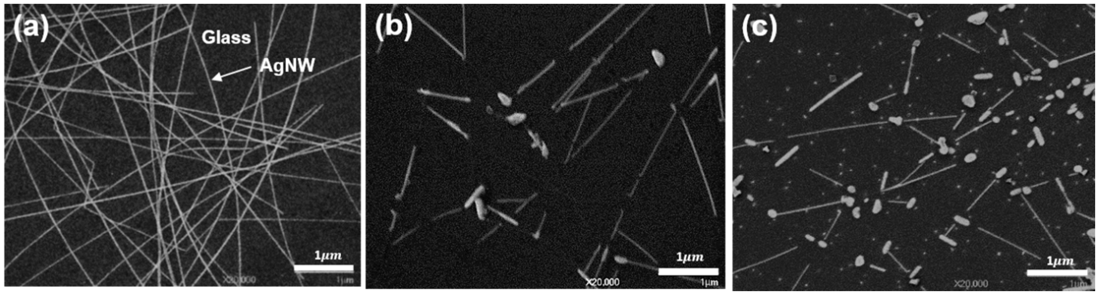 Nanomaterials 10 00938 g001