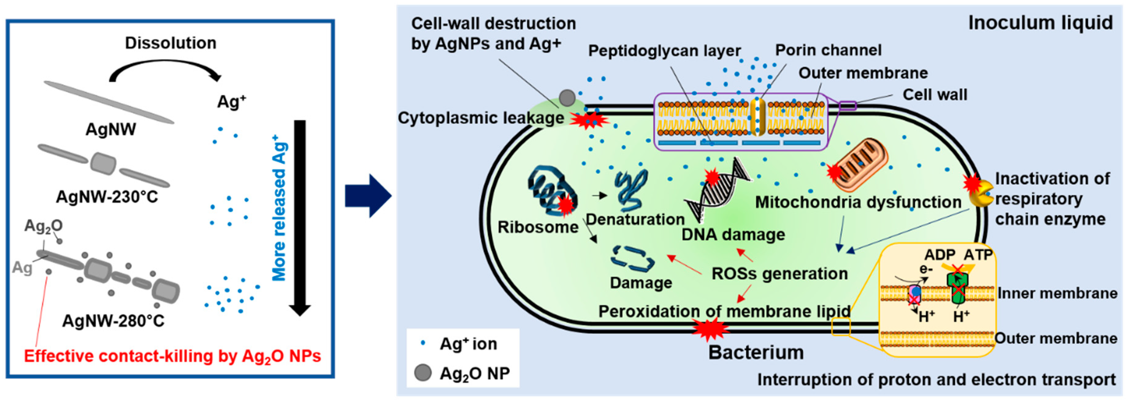 Nanomaterials 10 00938 g004