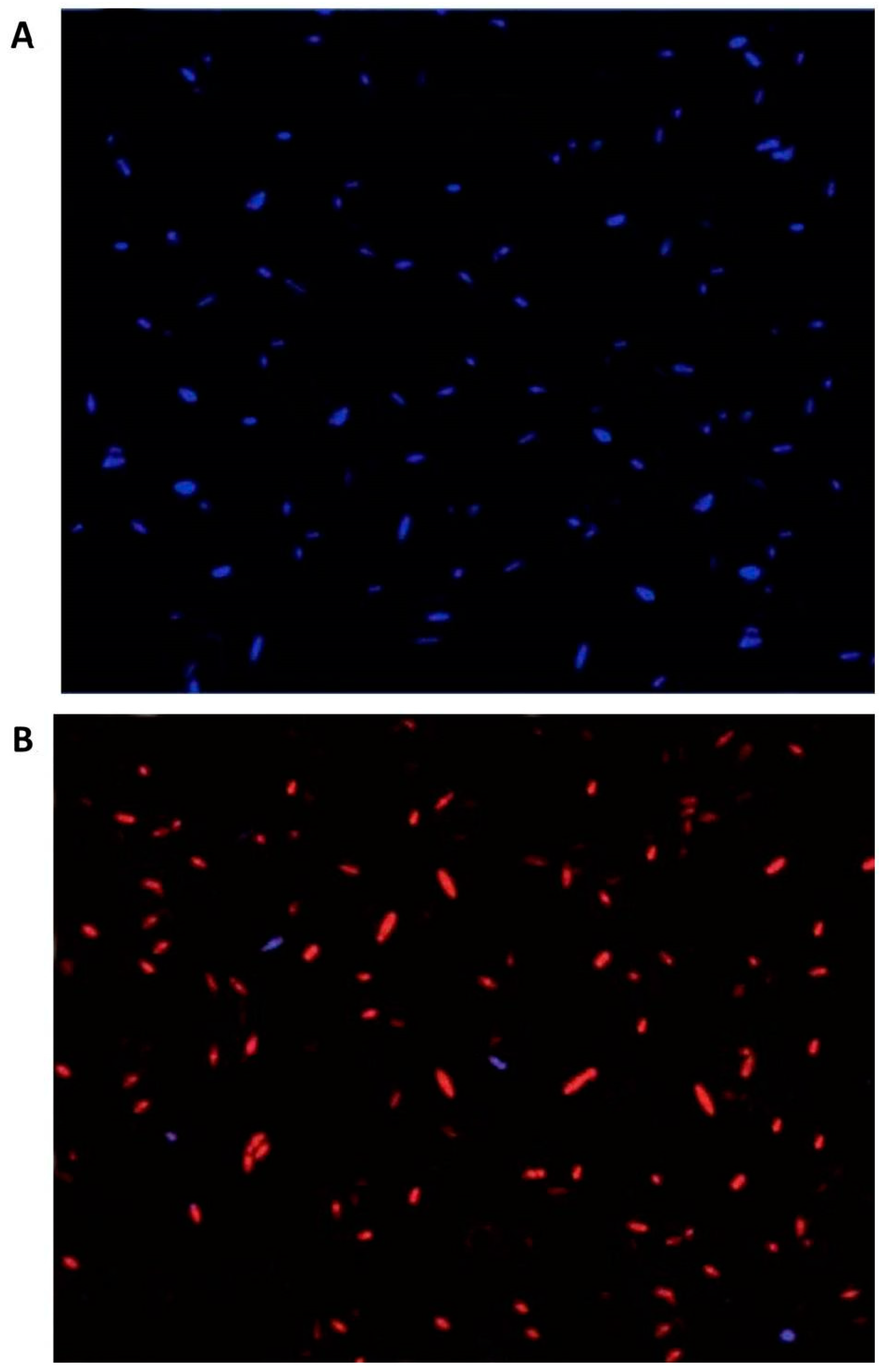 Nanomaterials 10 01001 g004 Nanomaterials 10 01001 g004
