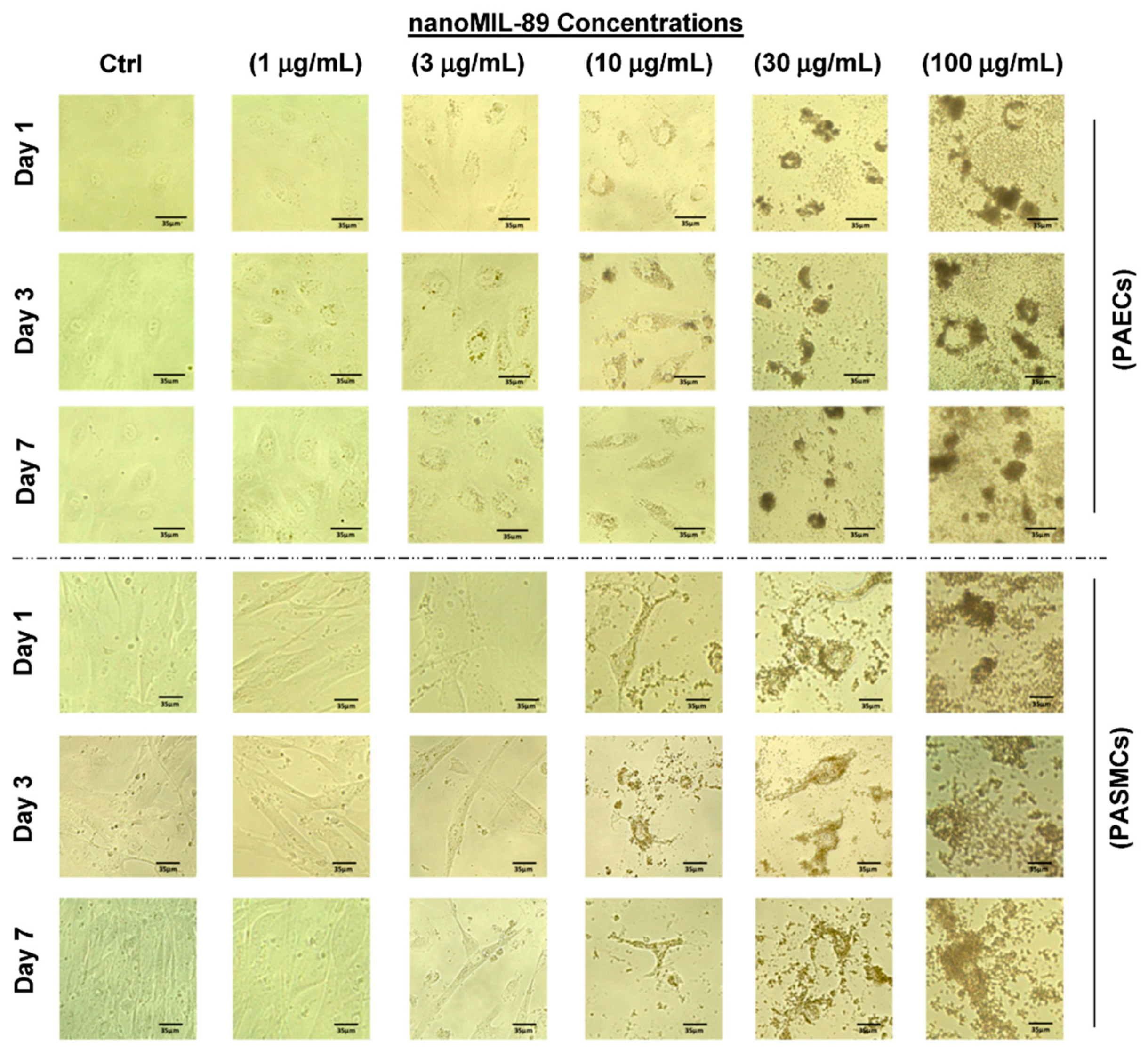 Nanomaterials 10 01028 g004 Nanomaterials 10 01028 g004