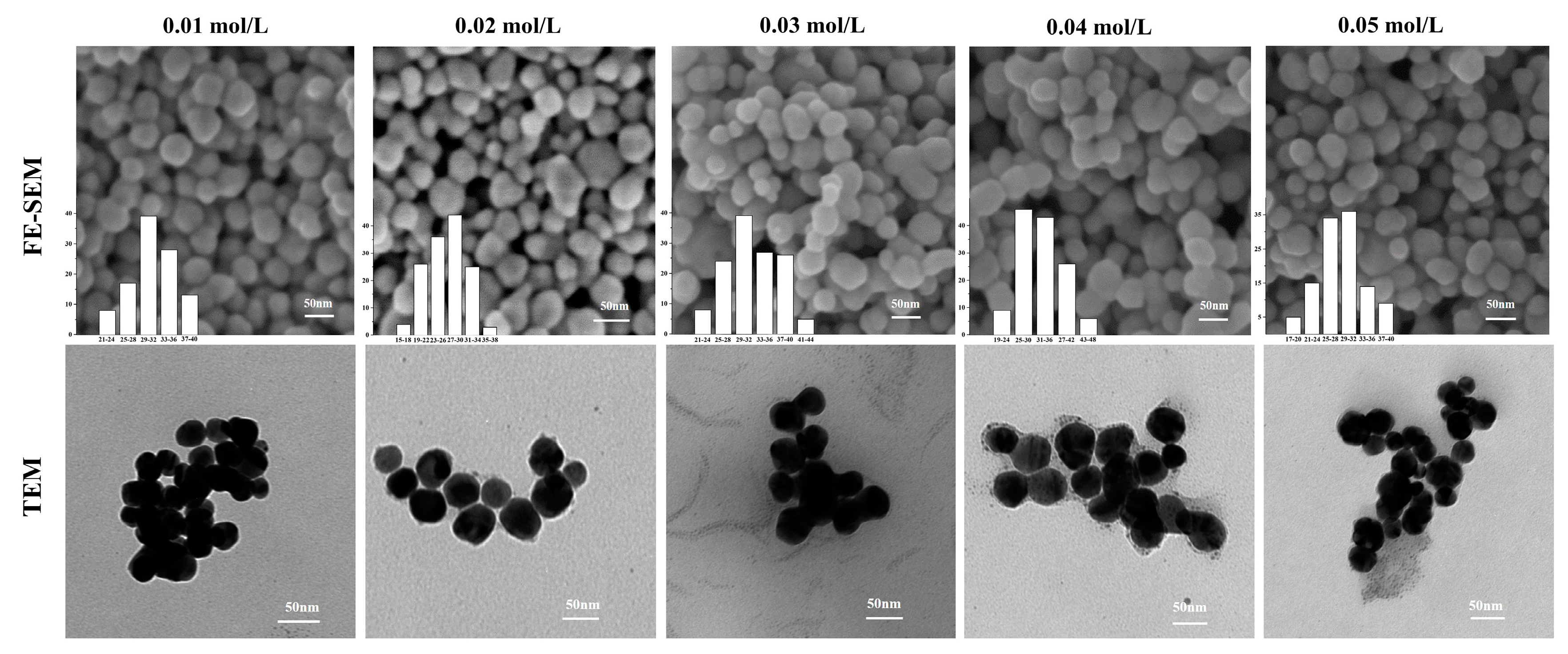 Nanomaterials 10 01042 g004