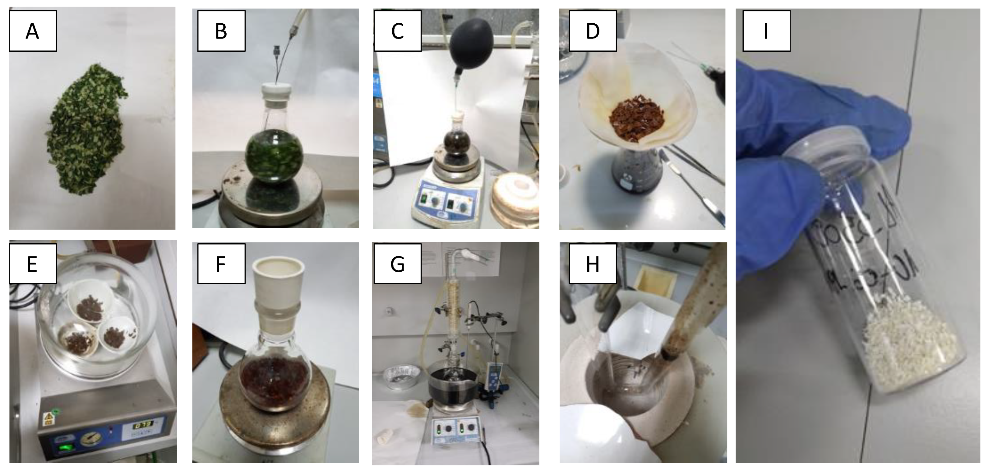 Nanomaterials 10 01057 g001
