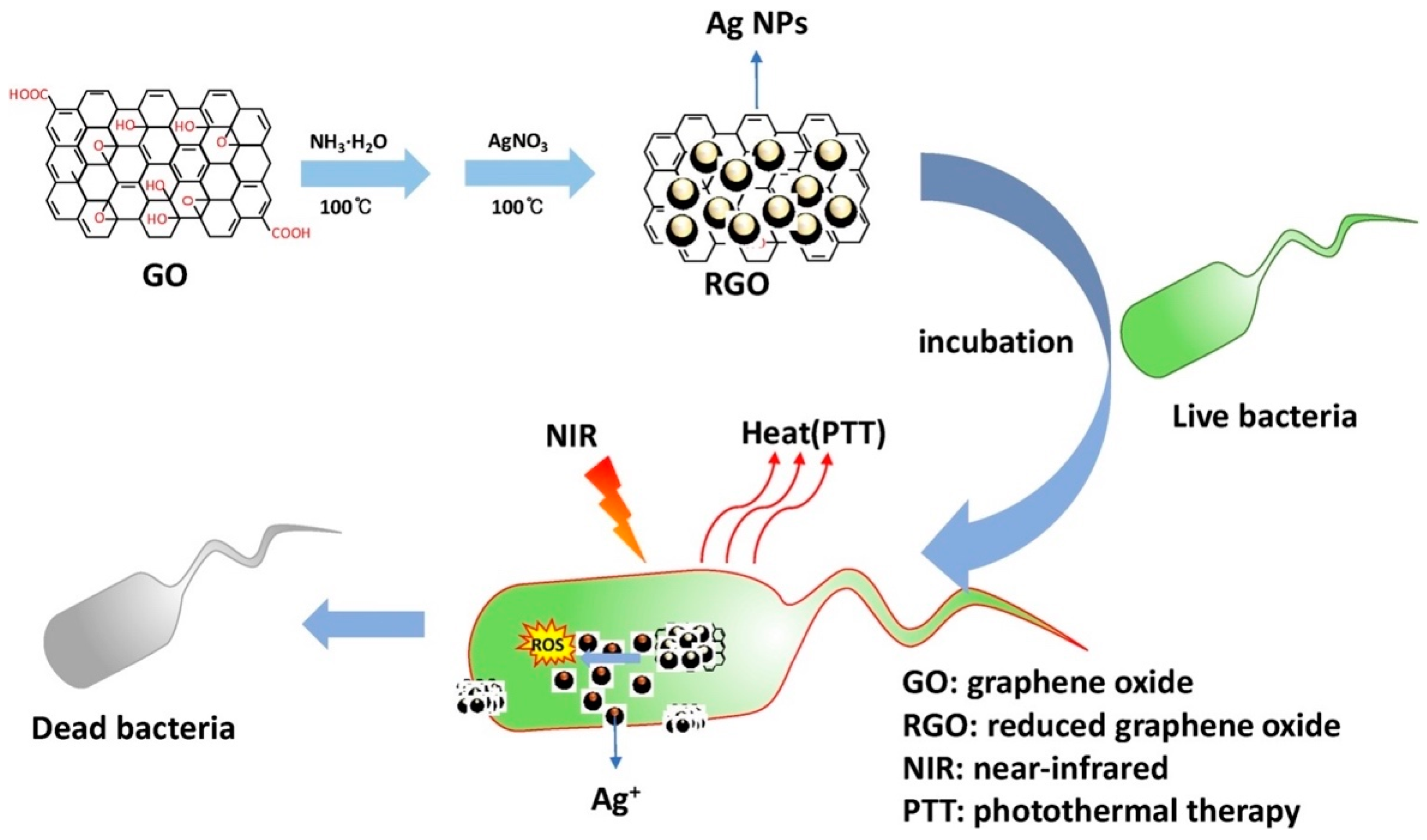 Nanomaterials Free Full Text Nanomaterials For The Photothermal Killing Of Bacteria Html