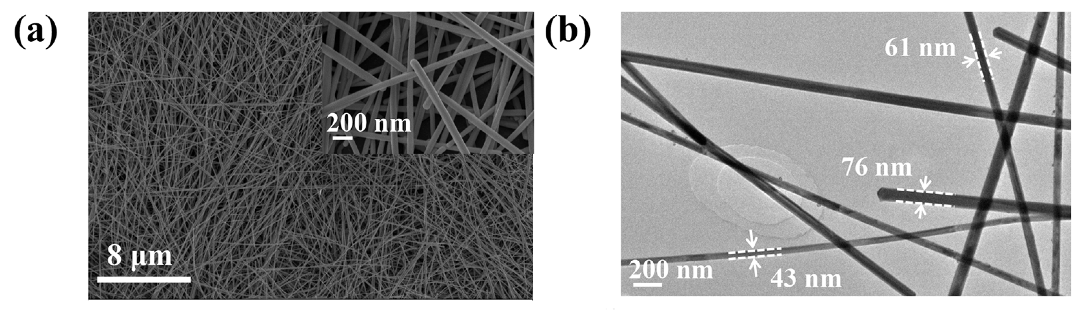Nanomaterials 10 01139 g002