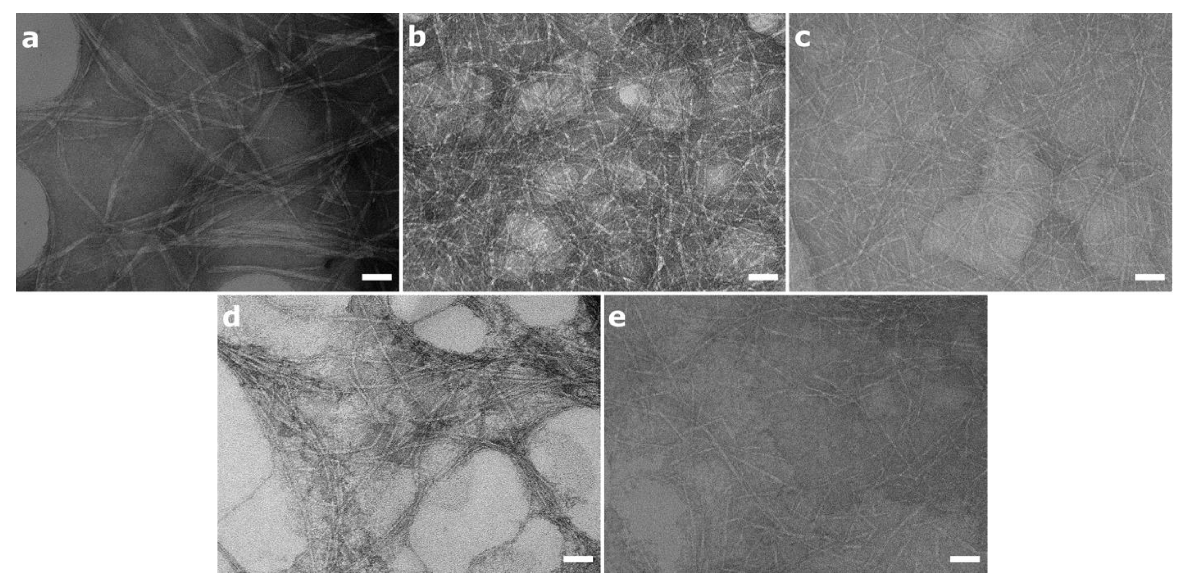 Nanomaterials 10 01159 g002