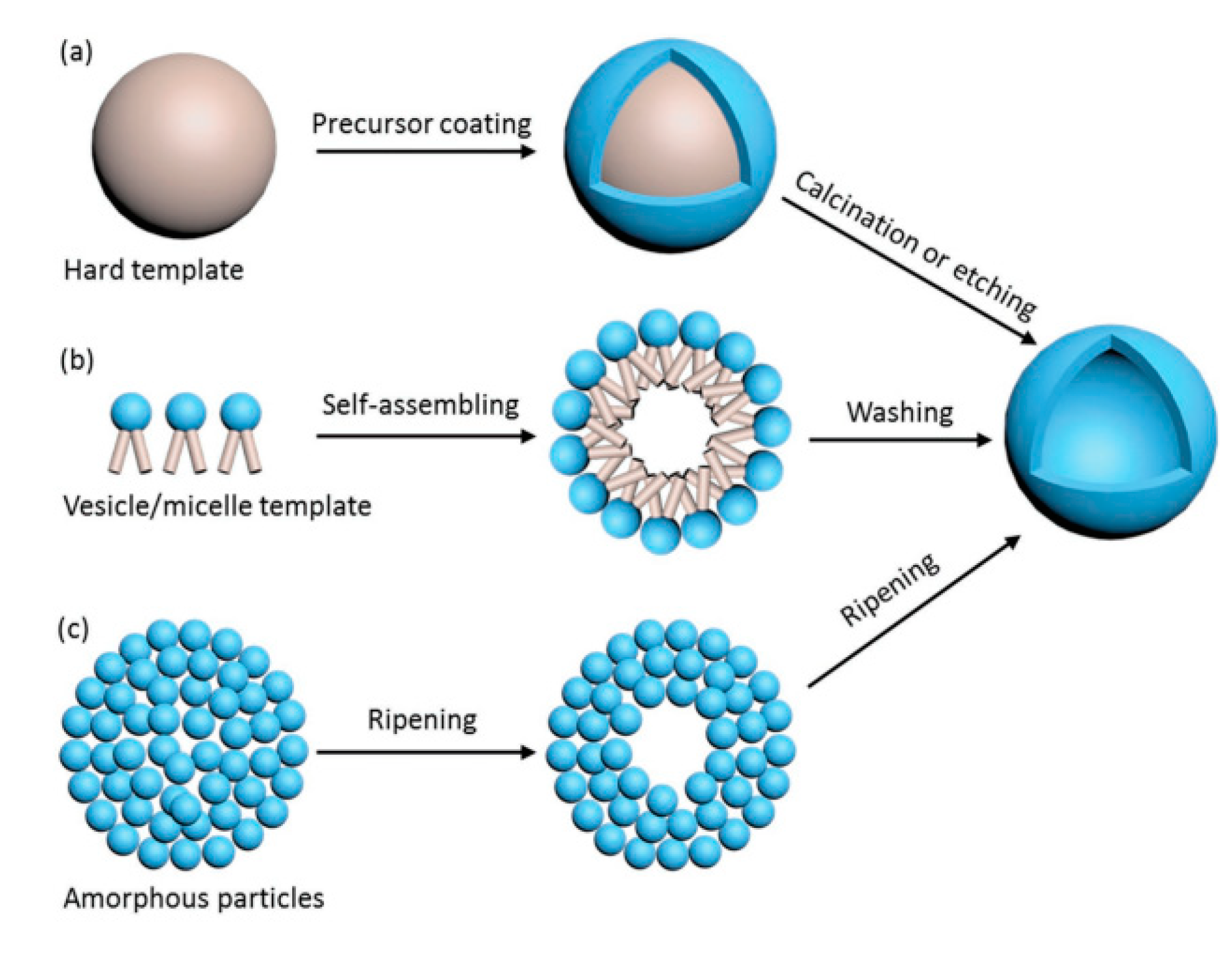 Nanomaterials | Free Full-Text | Titanium Dioxide Microscale and ...