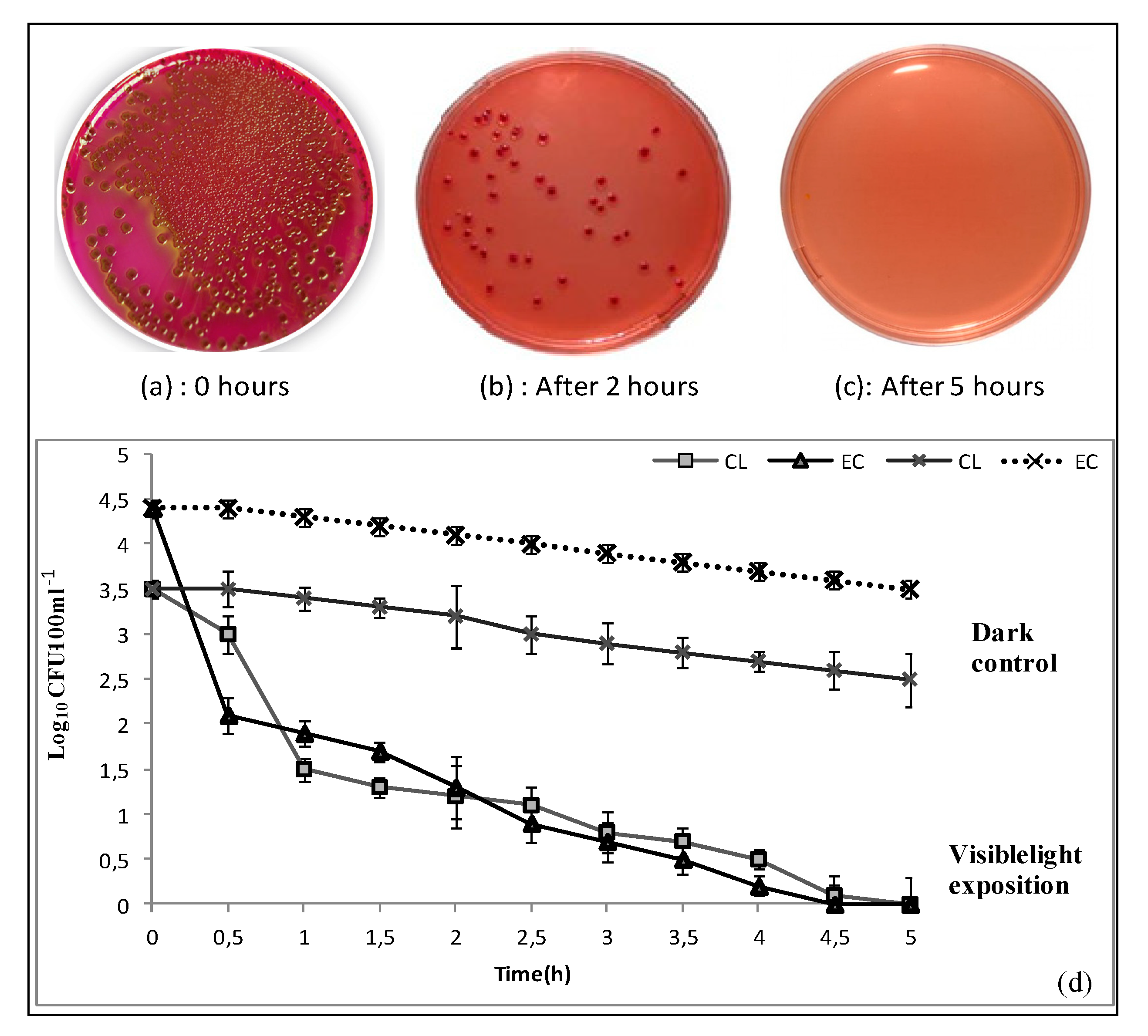 Nanomaterials 10 01192 g009