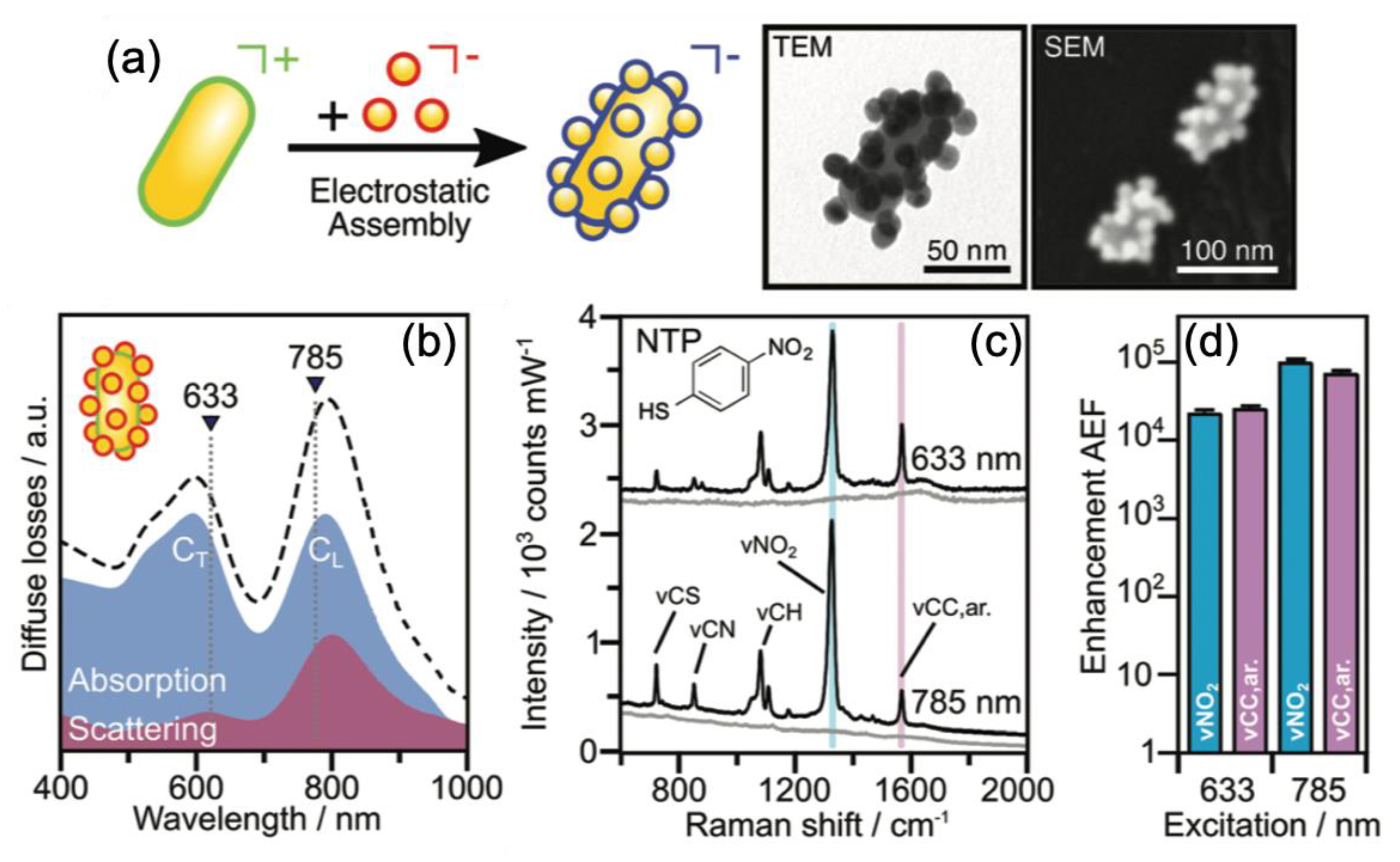 Nanomaterials 10 01200 g001 Nanomaterials 10 01200 g001