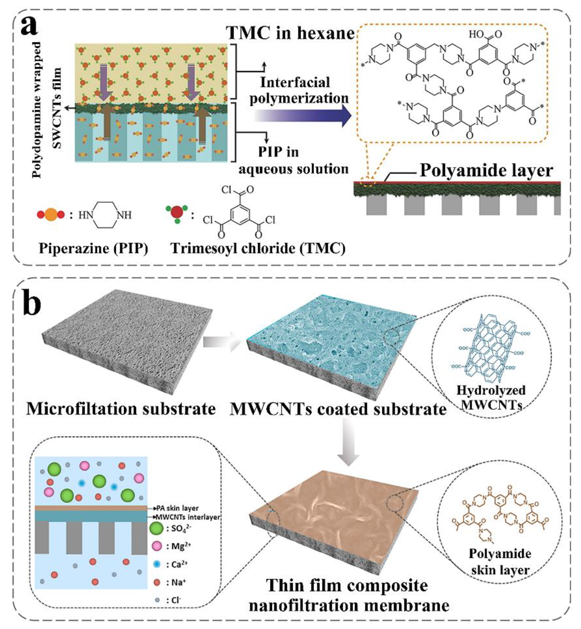 Nanomaterials 10 01203 g006