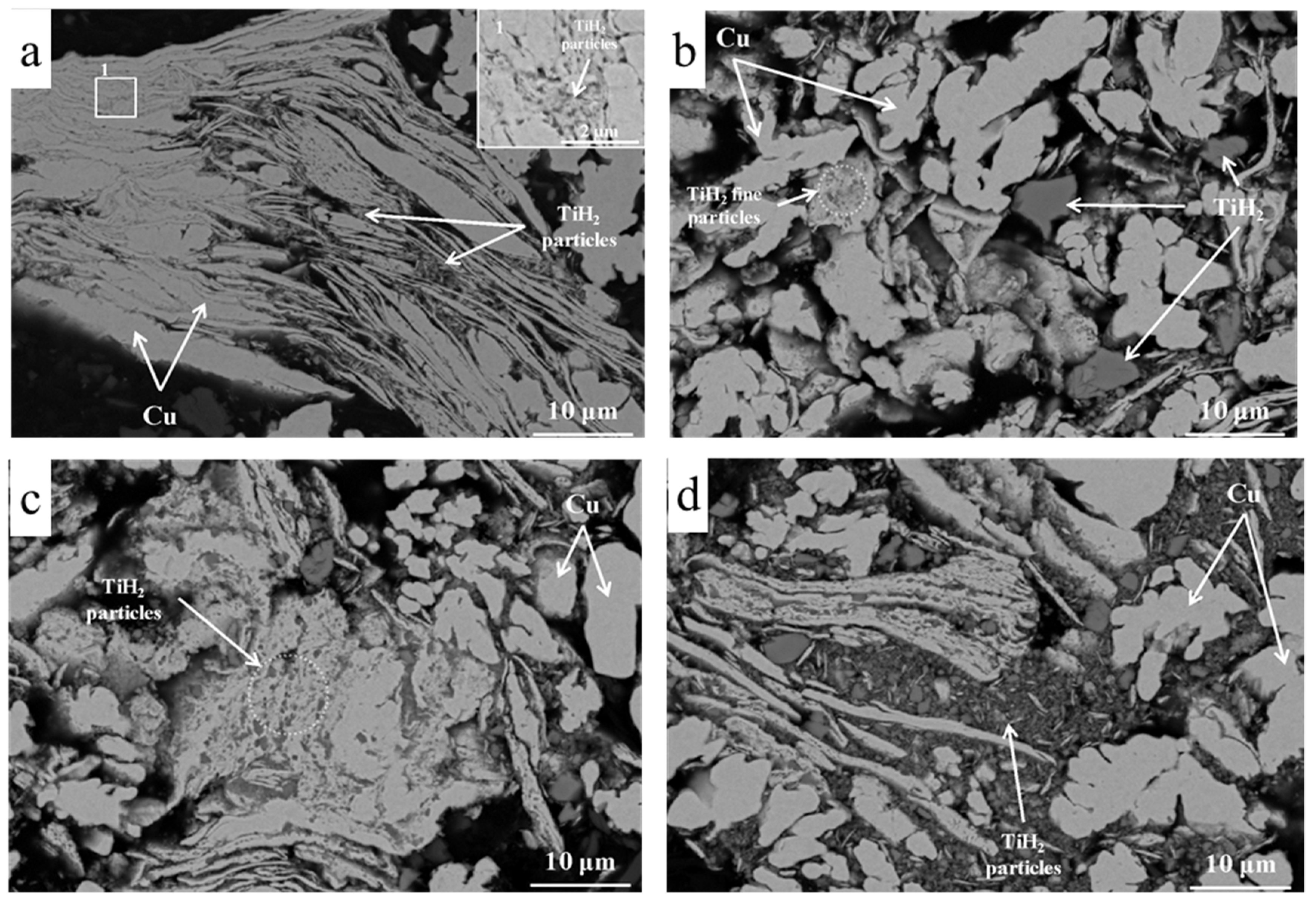 Nanomaterials 10 01261 g004