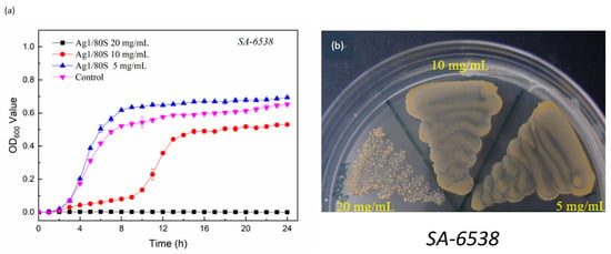 Nanomaterials Free Full Text Antibacterial Activity of Silver