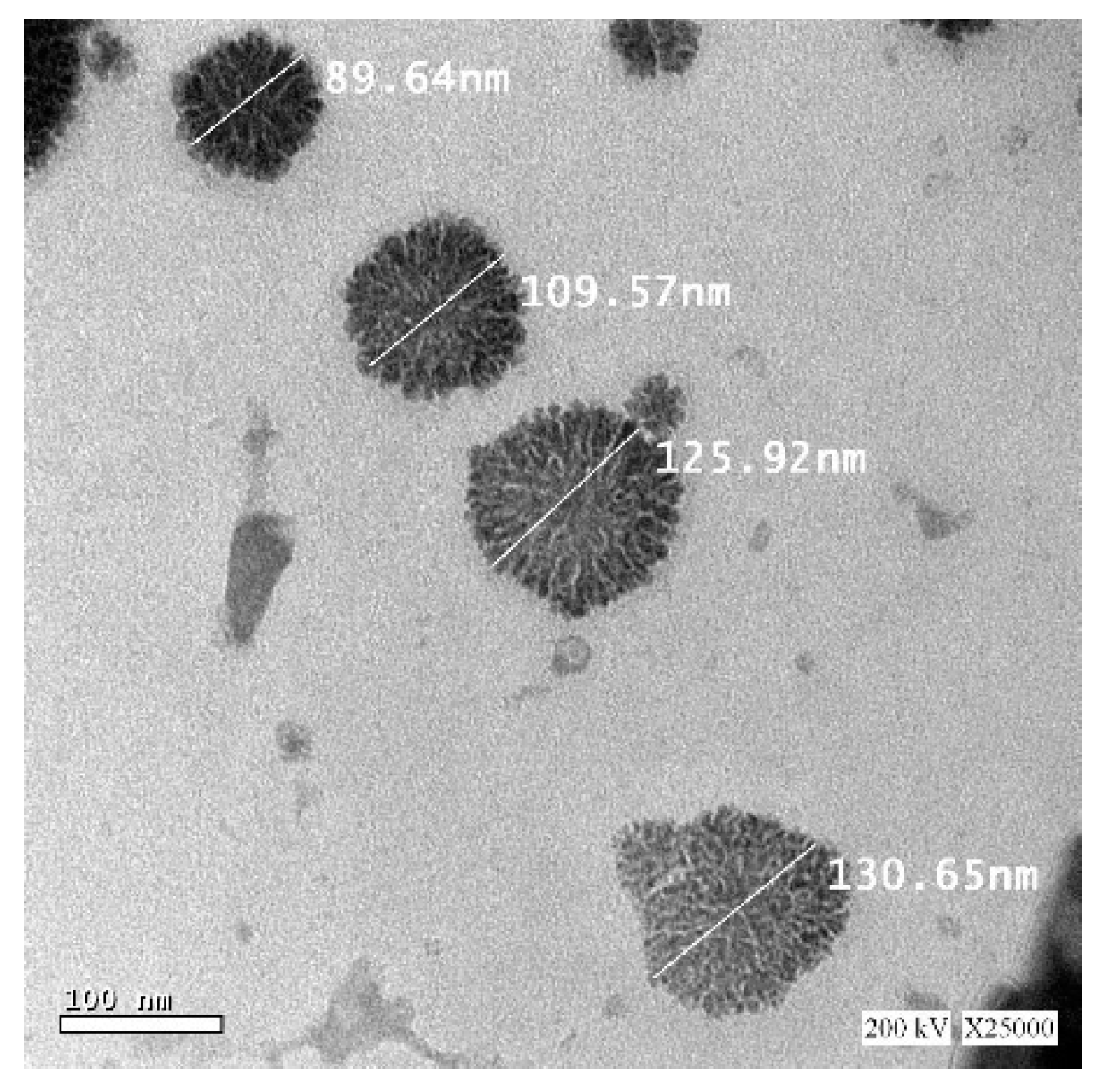 Nanomaterials 10 01270 g003