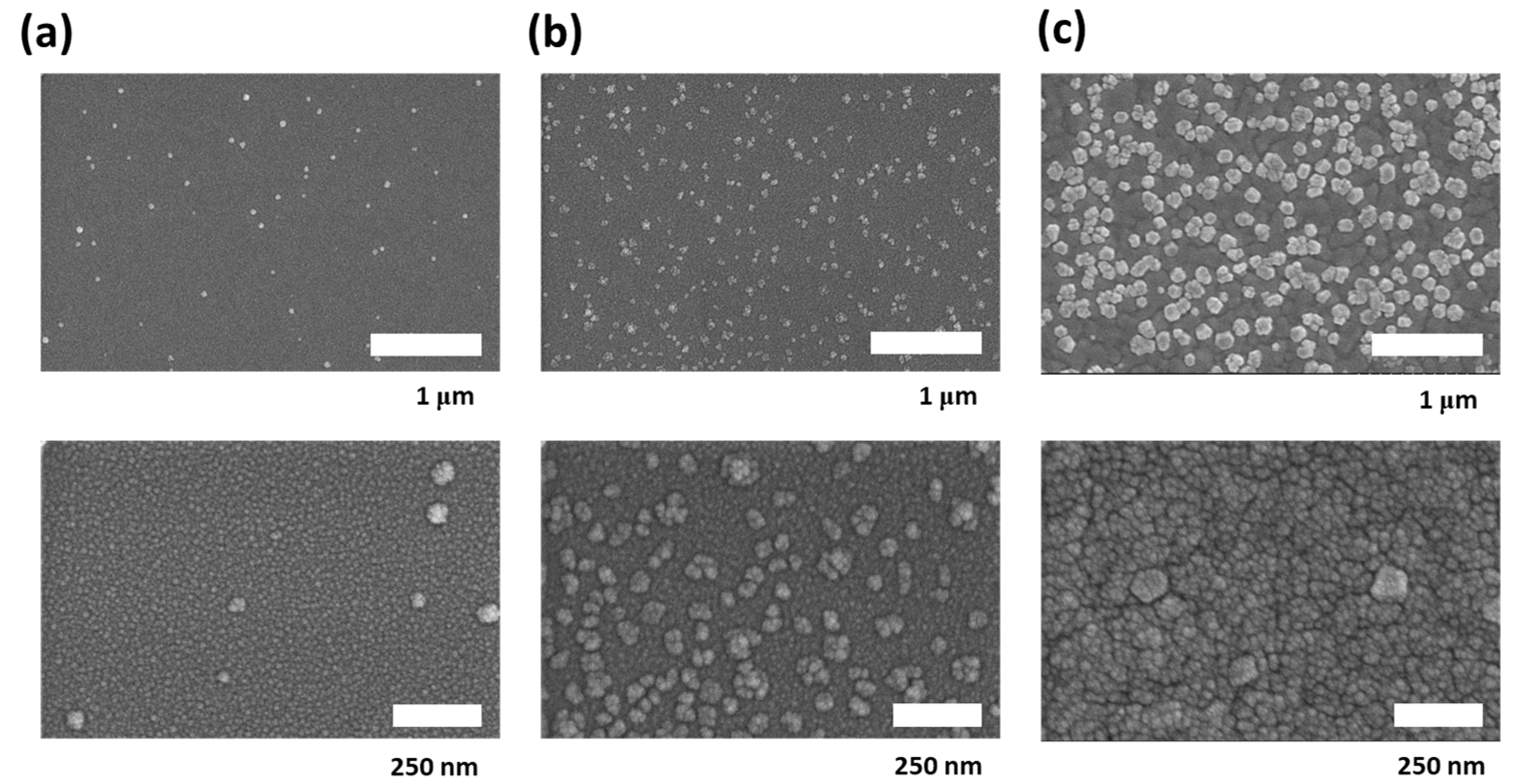 Nanomaterials 10 01304 g004 Nanomaterials 10 01304 g004