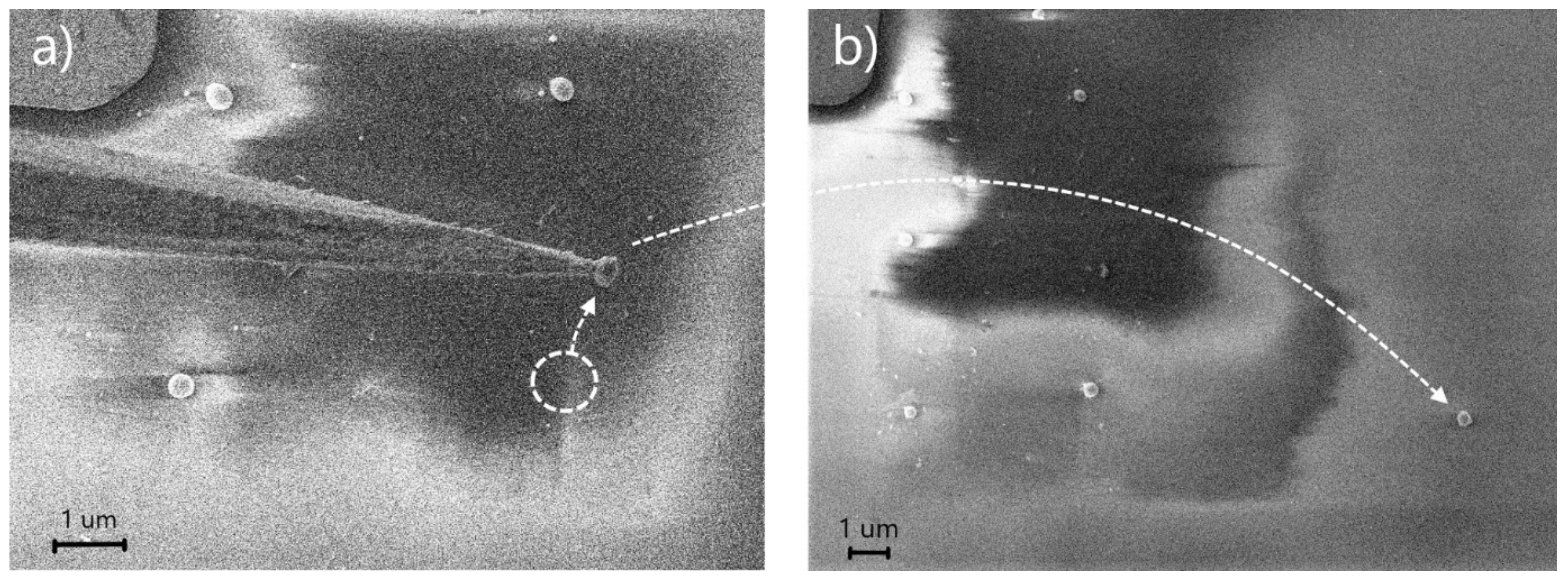 Nanomaterials 10 01306 g001