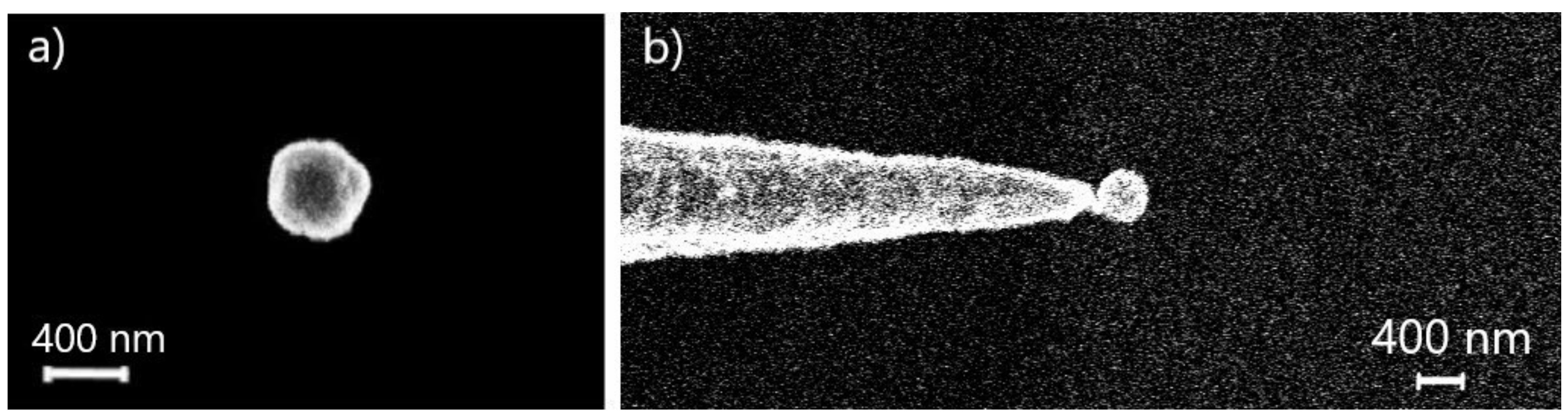 Nanomaterials 10 01306 g003