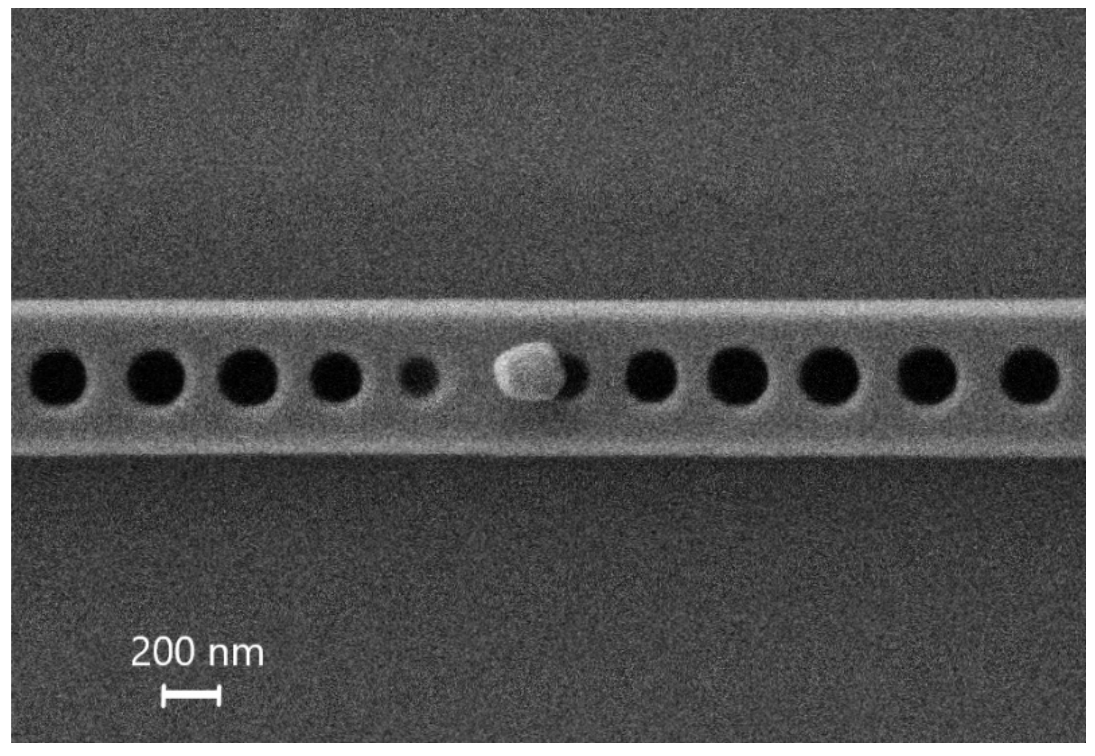 Nanomaterials 10 01306 g005