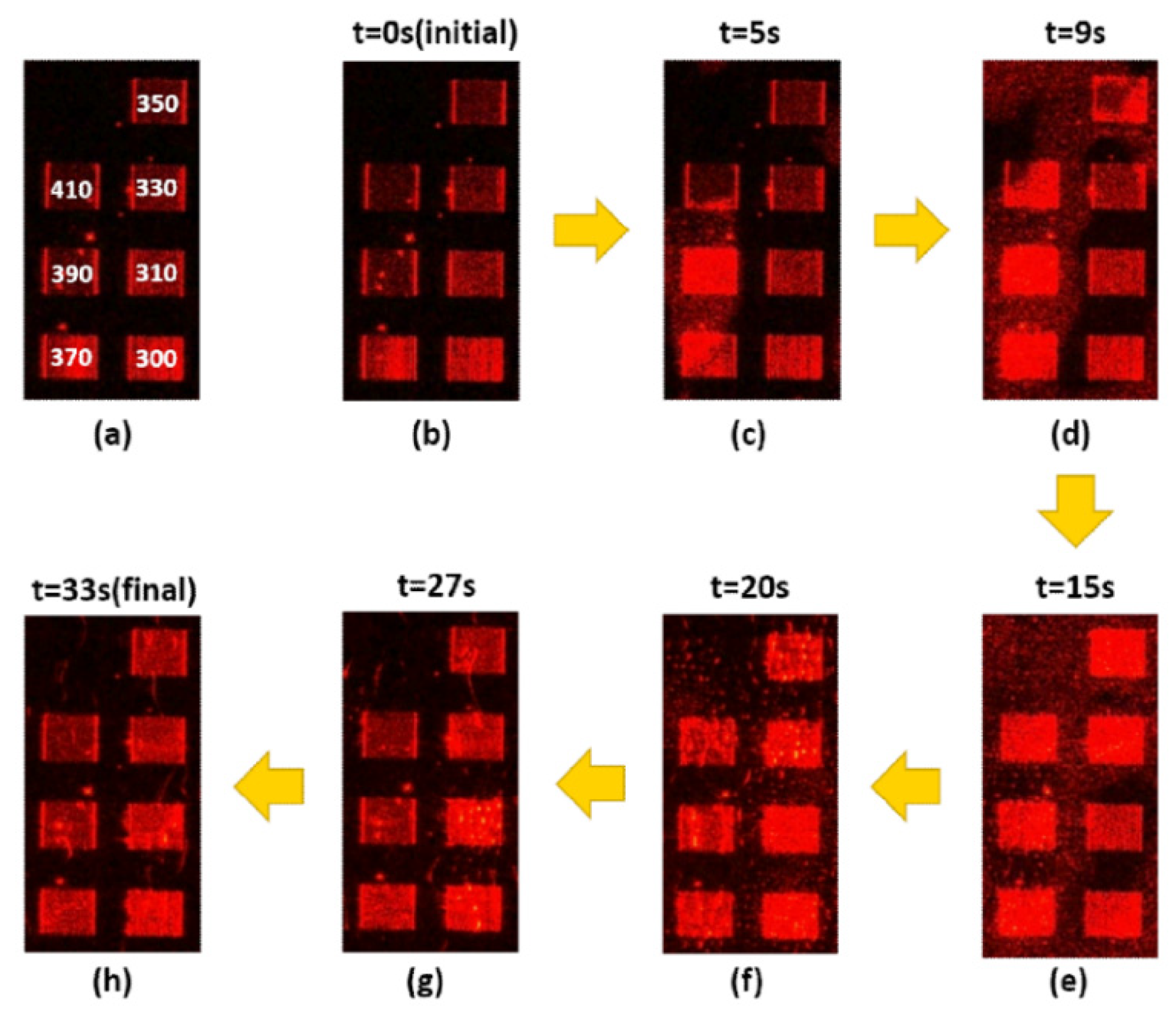 Nanomaterials 10 01357 g003