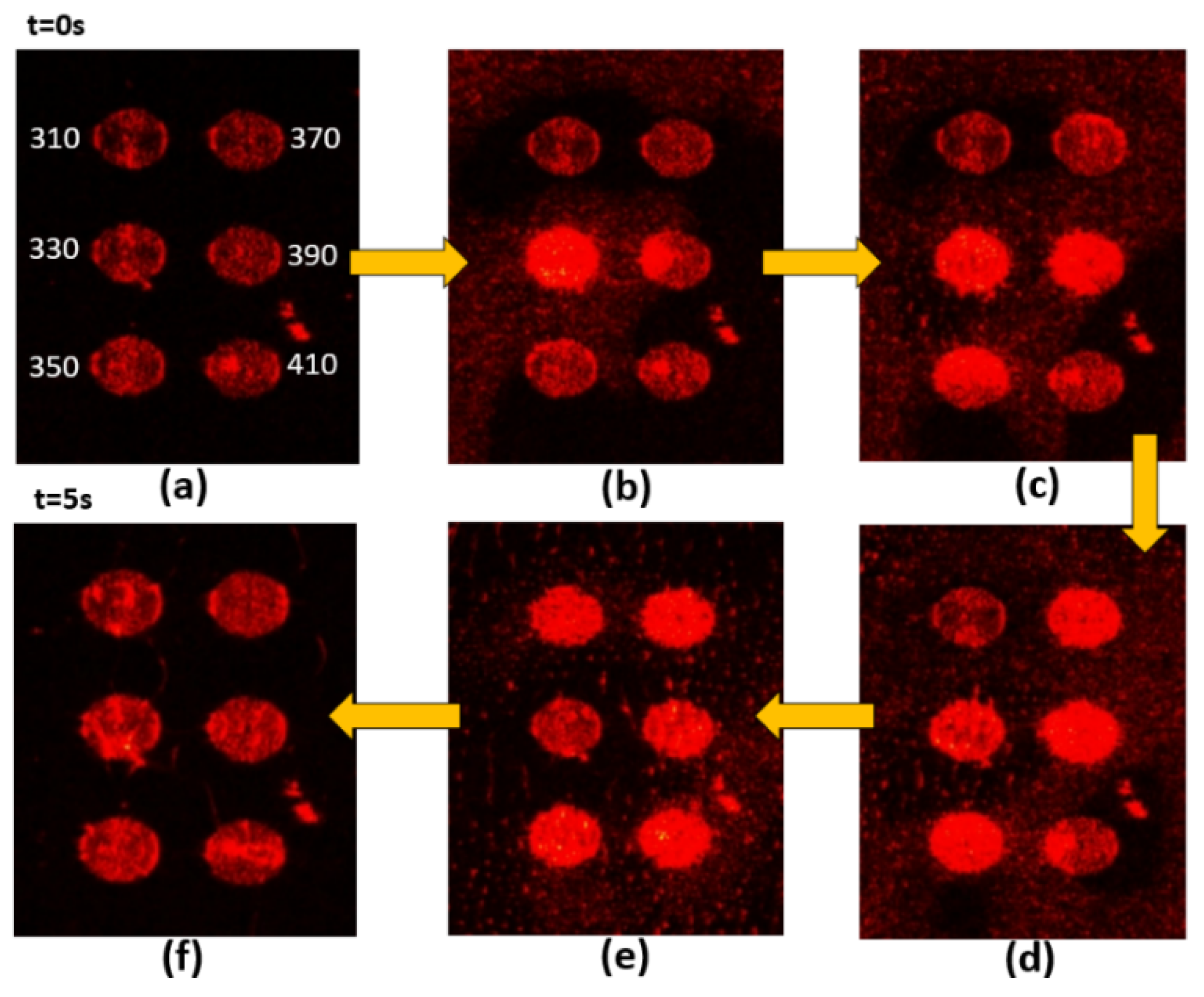 Nanomaterials 10 01357 g005