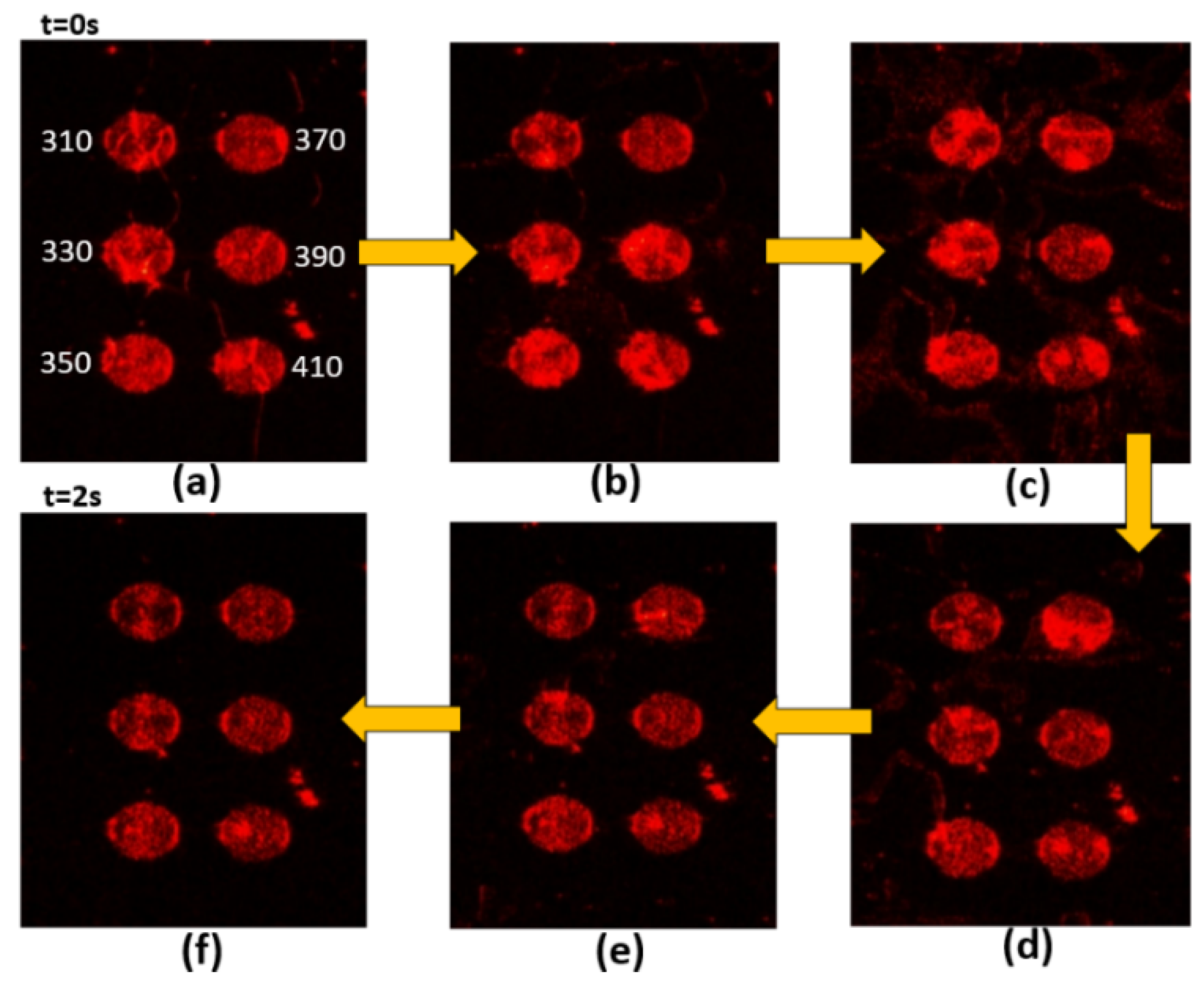 Nanomaterials 10 01357 g006