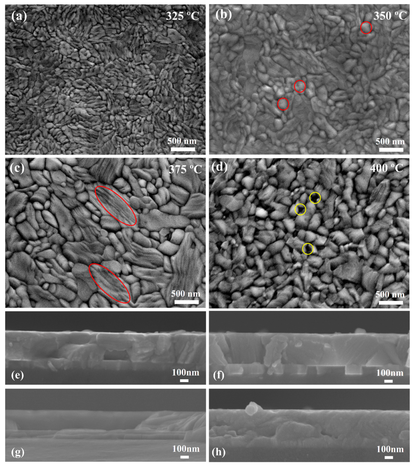 Nanomaterials 10 01358 g004