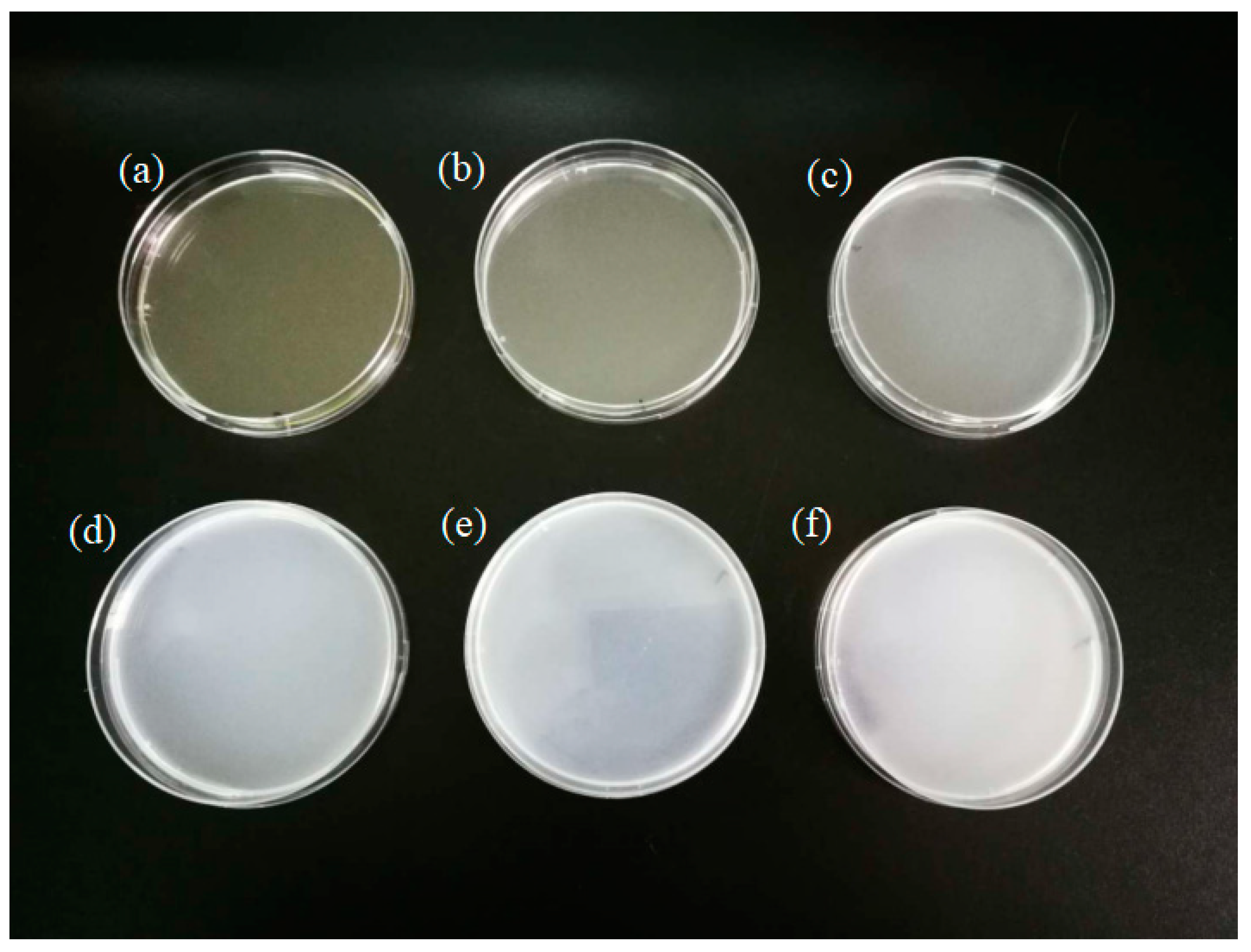 Nanomaterials 10 01365 g001 Nanomaterials 10 01365 g001