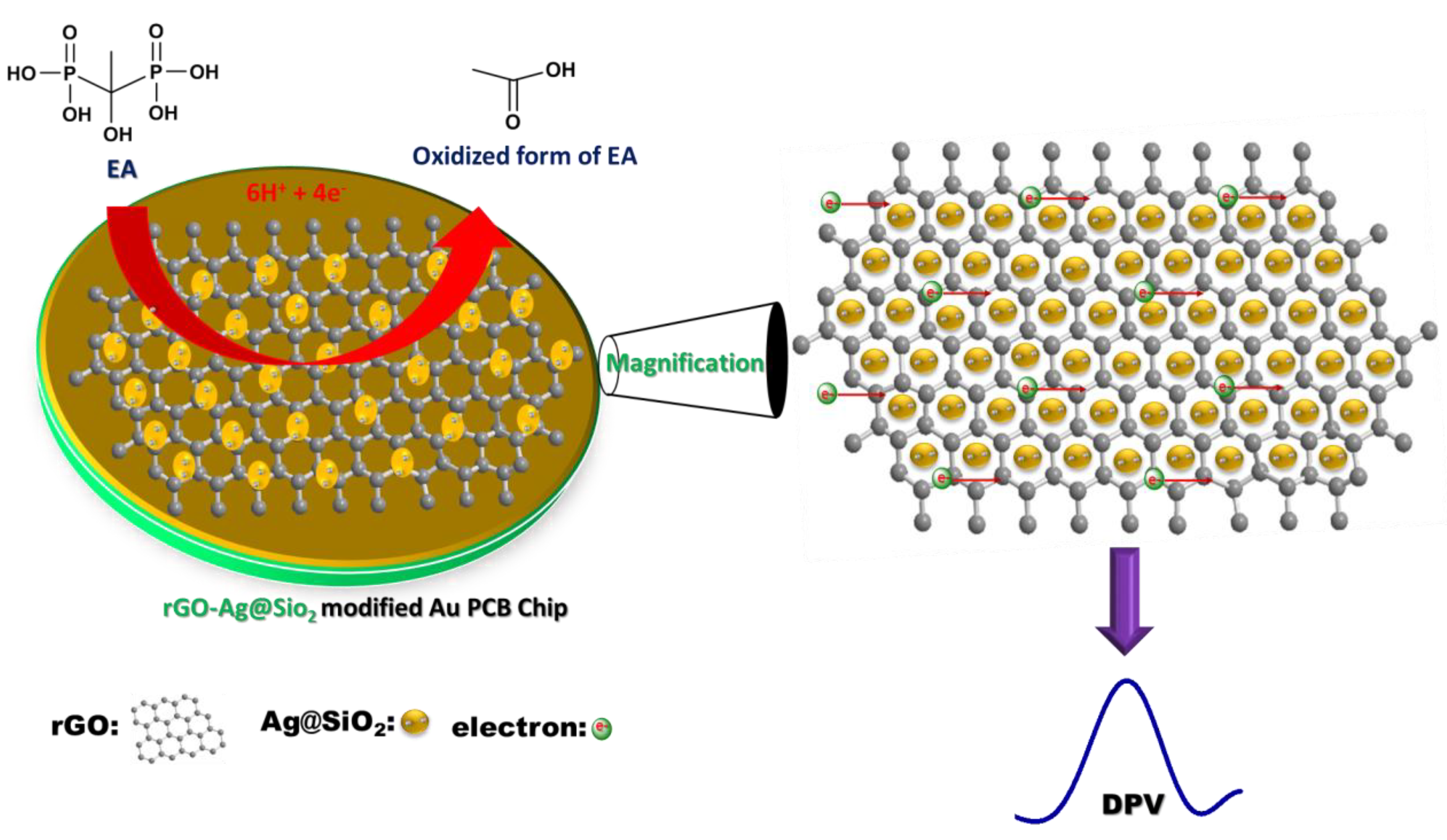 Nanomaterials 10 01368 sch001