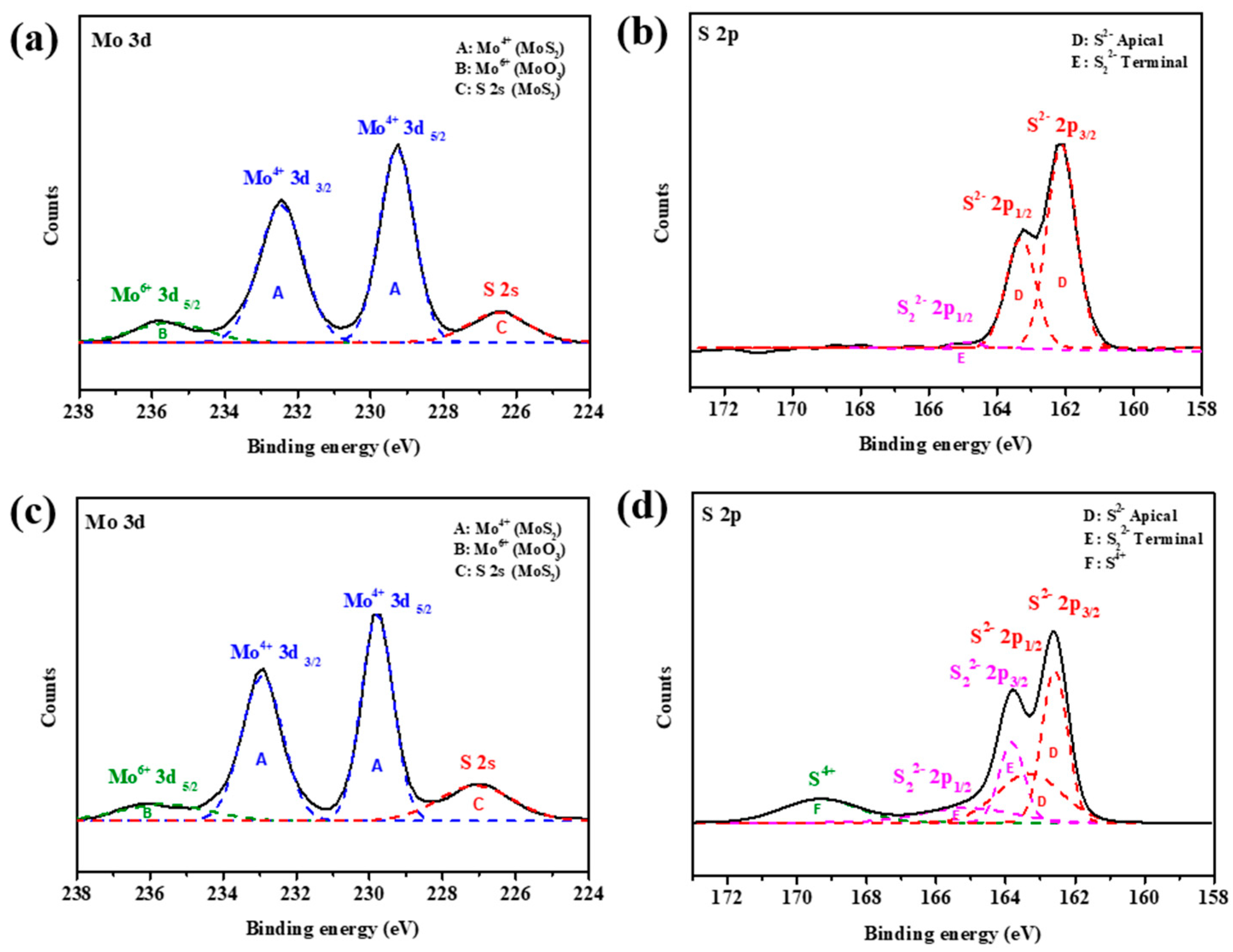 Nanomaterials 10 01389 g005