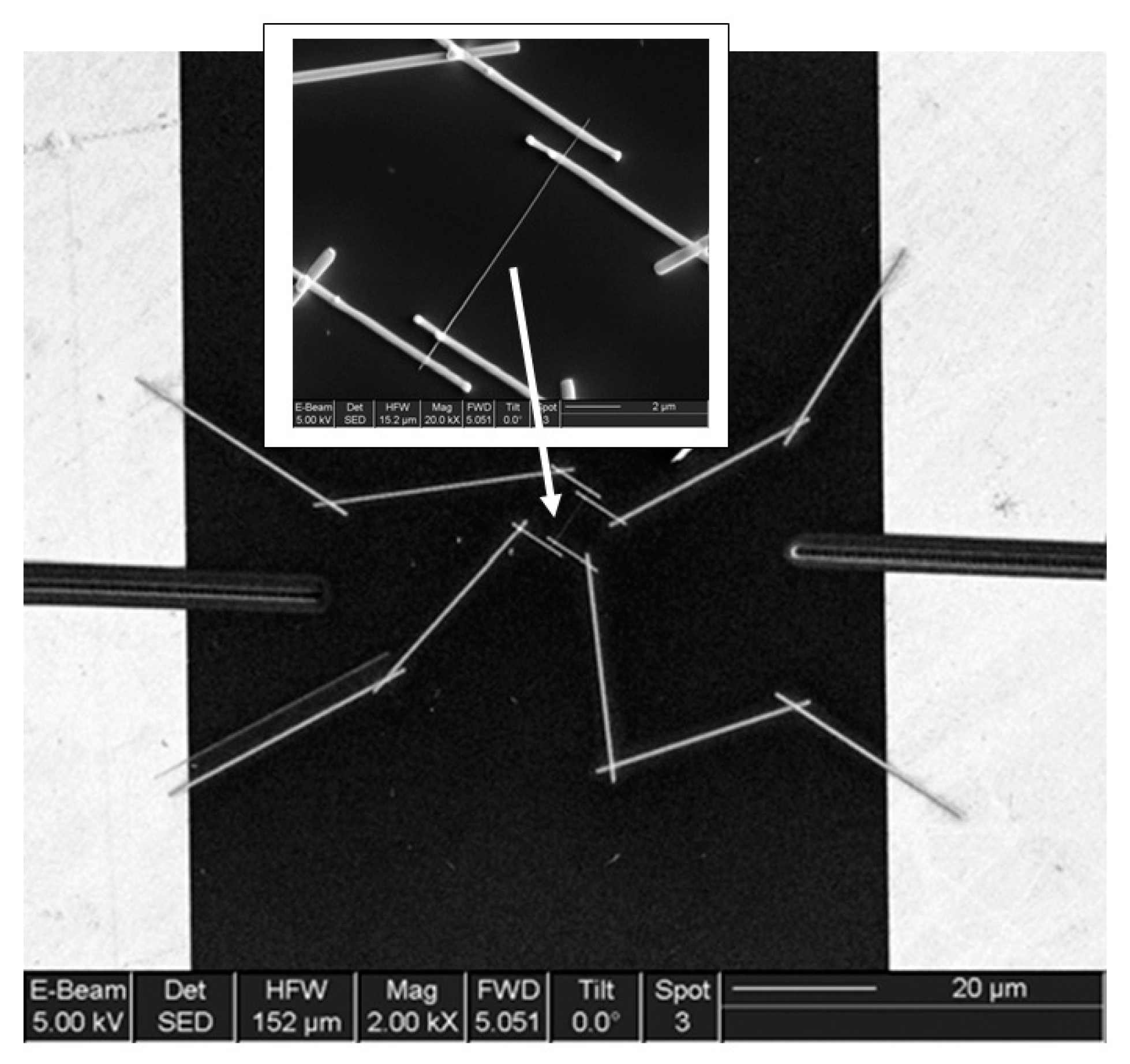 Nanomaterials 10 01392 g014