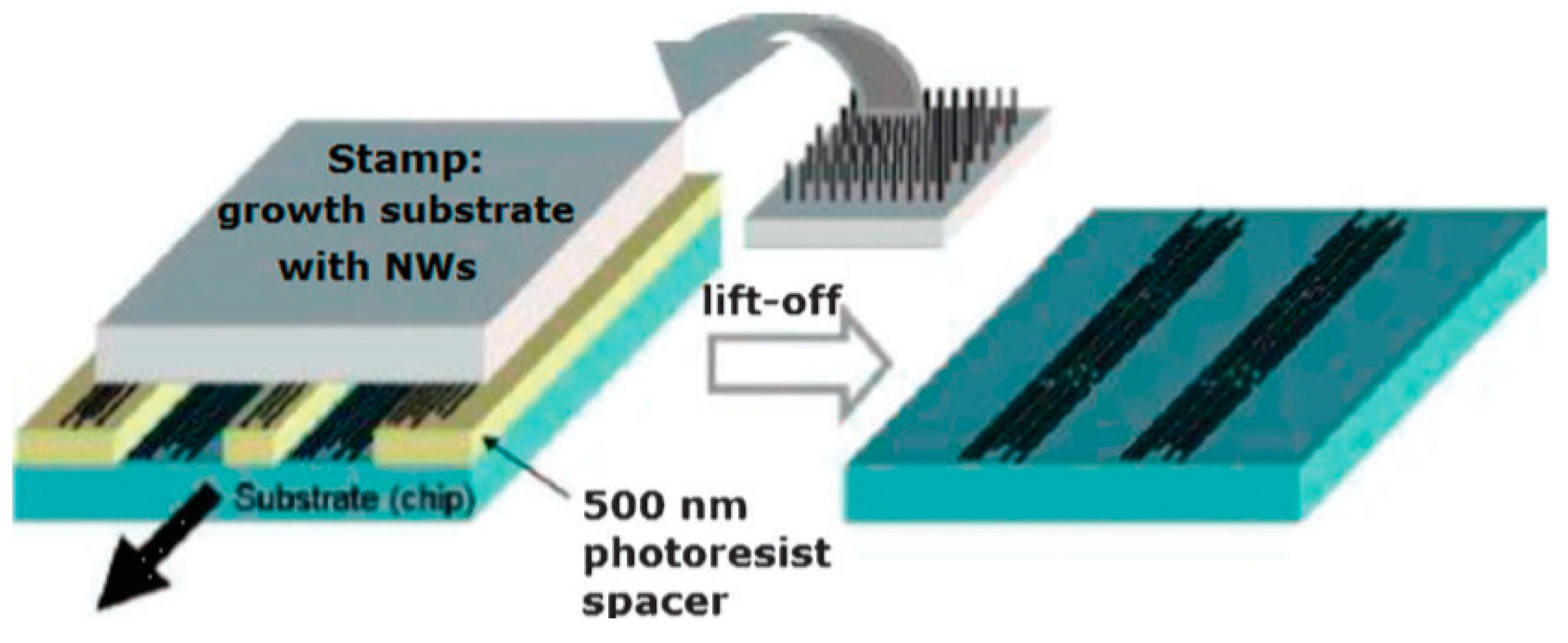 Nanomaterials 10 01392 g018