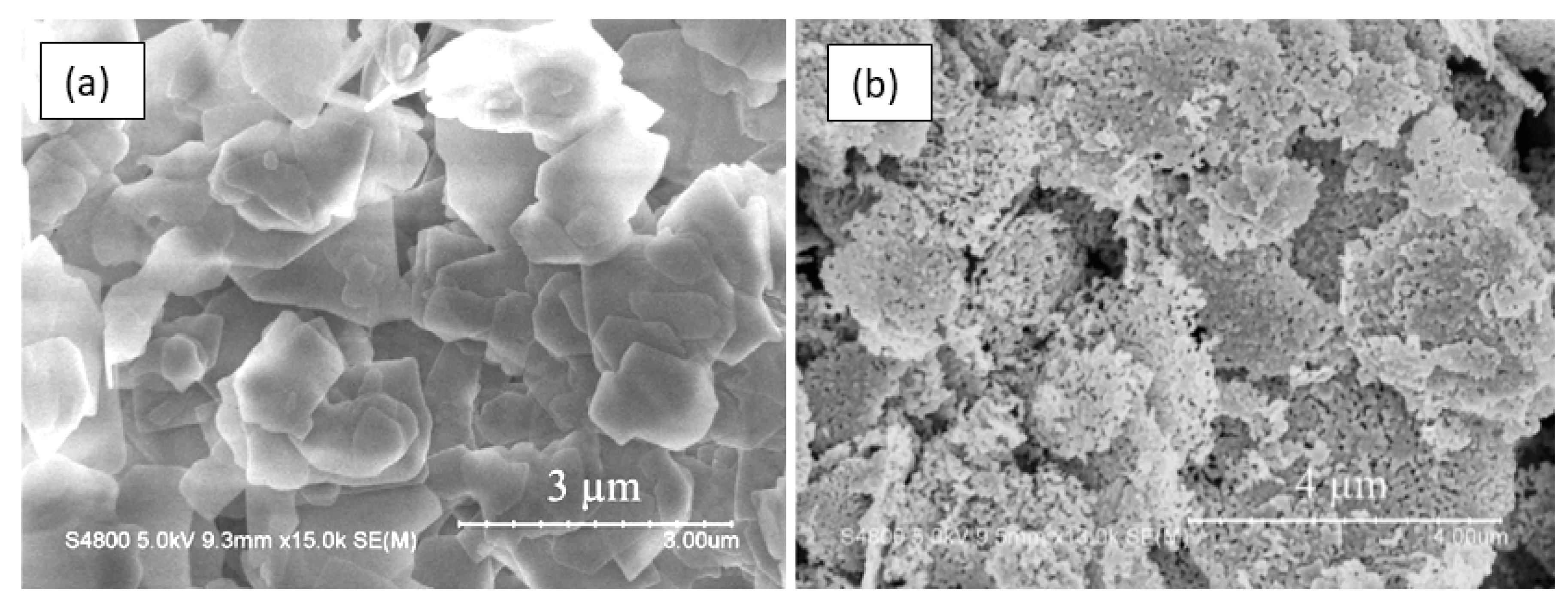 Nanomaterials 10 01392 g042