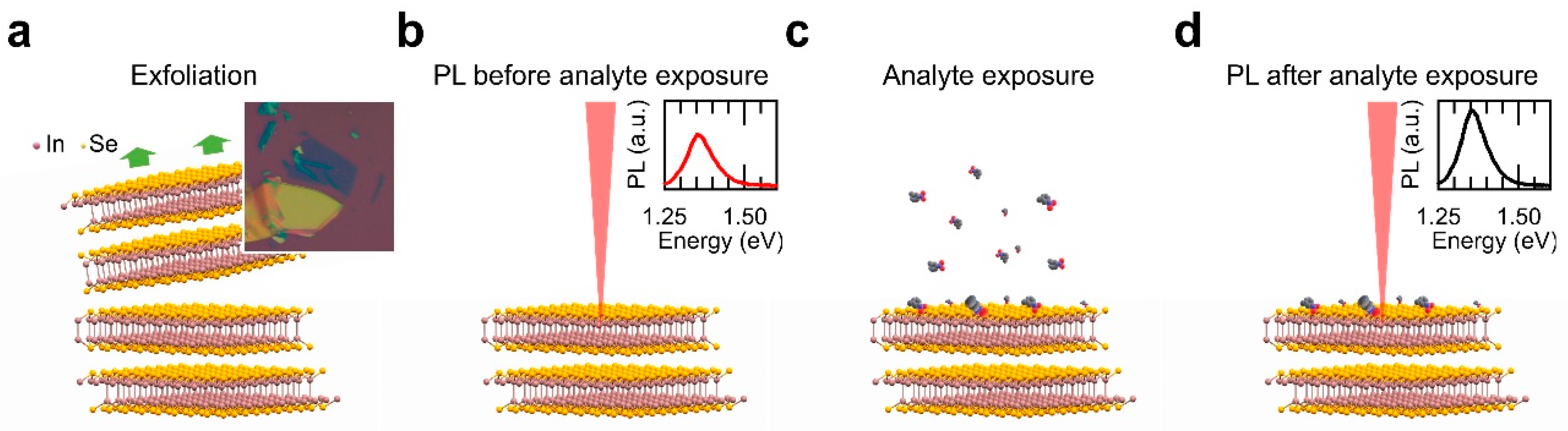 Nanomaterials 10 01396 g001 Nanomaterials 10 01396 g001