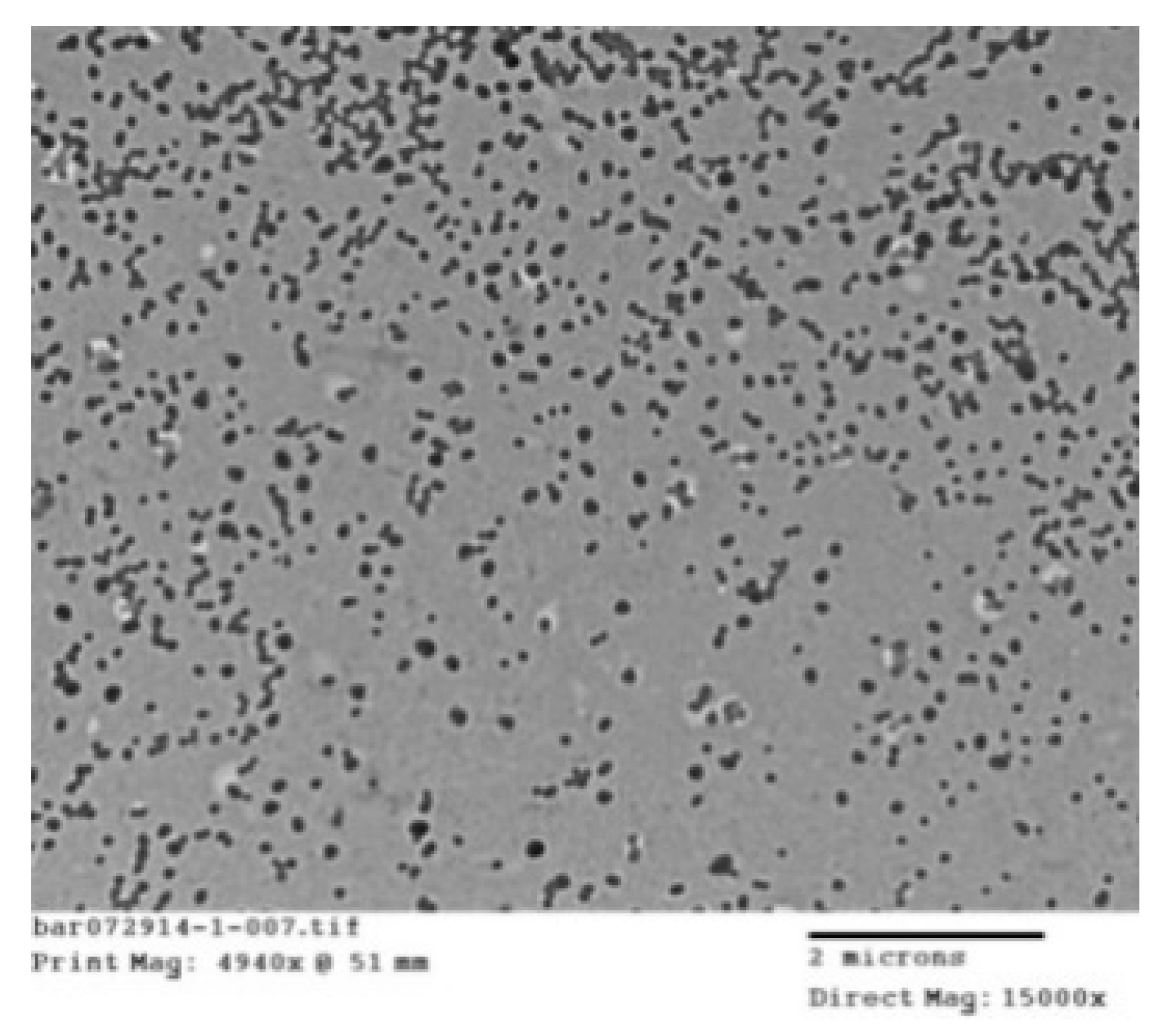 Nanomaterials 10 01400 g004 Nanomaterials 10 01400 g004