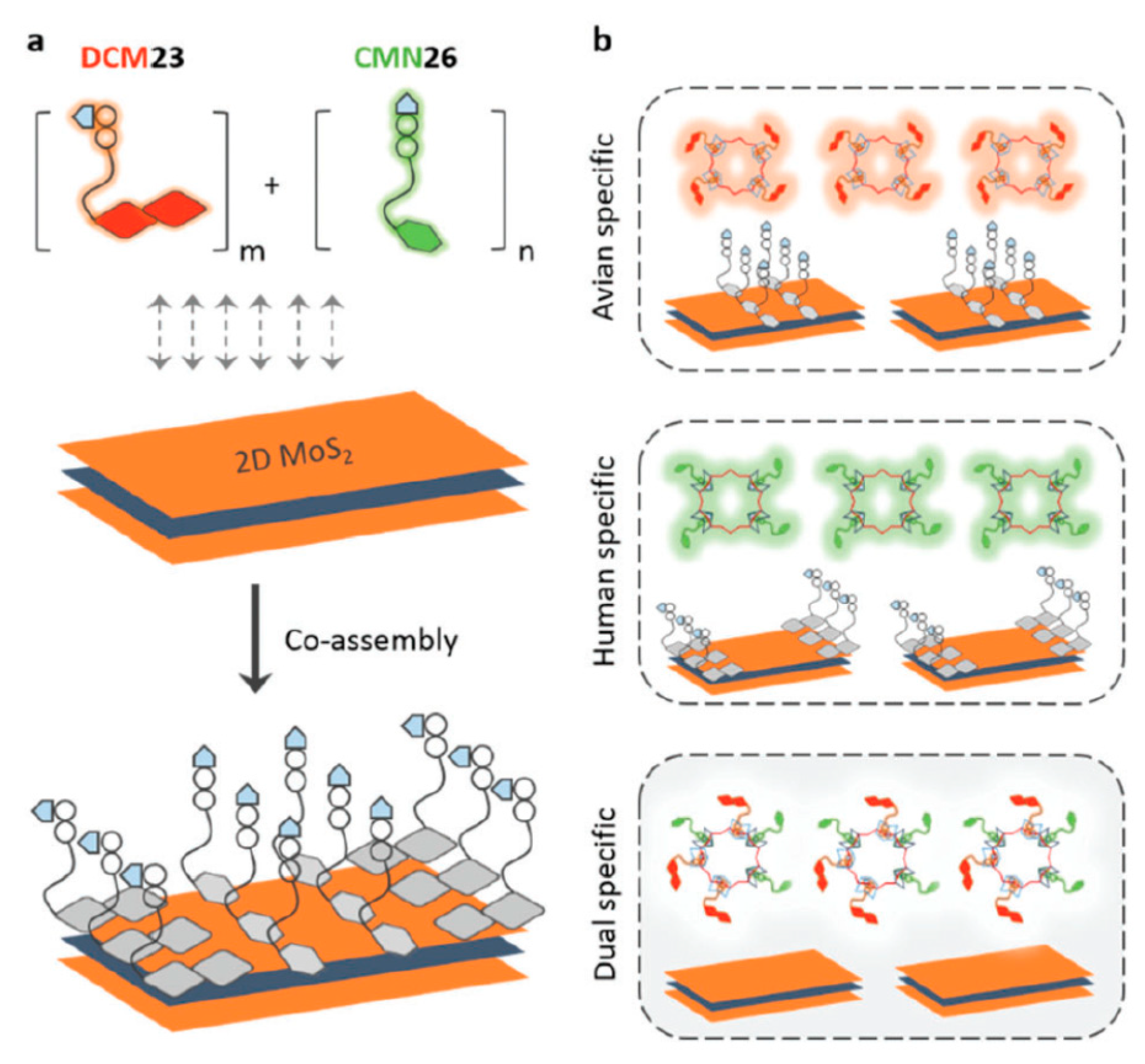 Nanomaterials 10 01406 g014 Nanomaterials 10 01406 g014