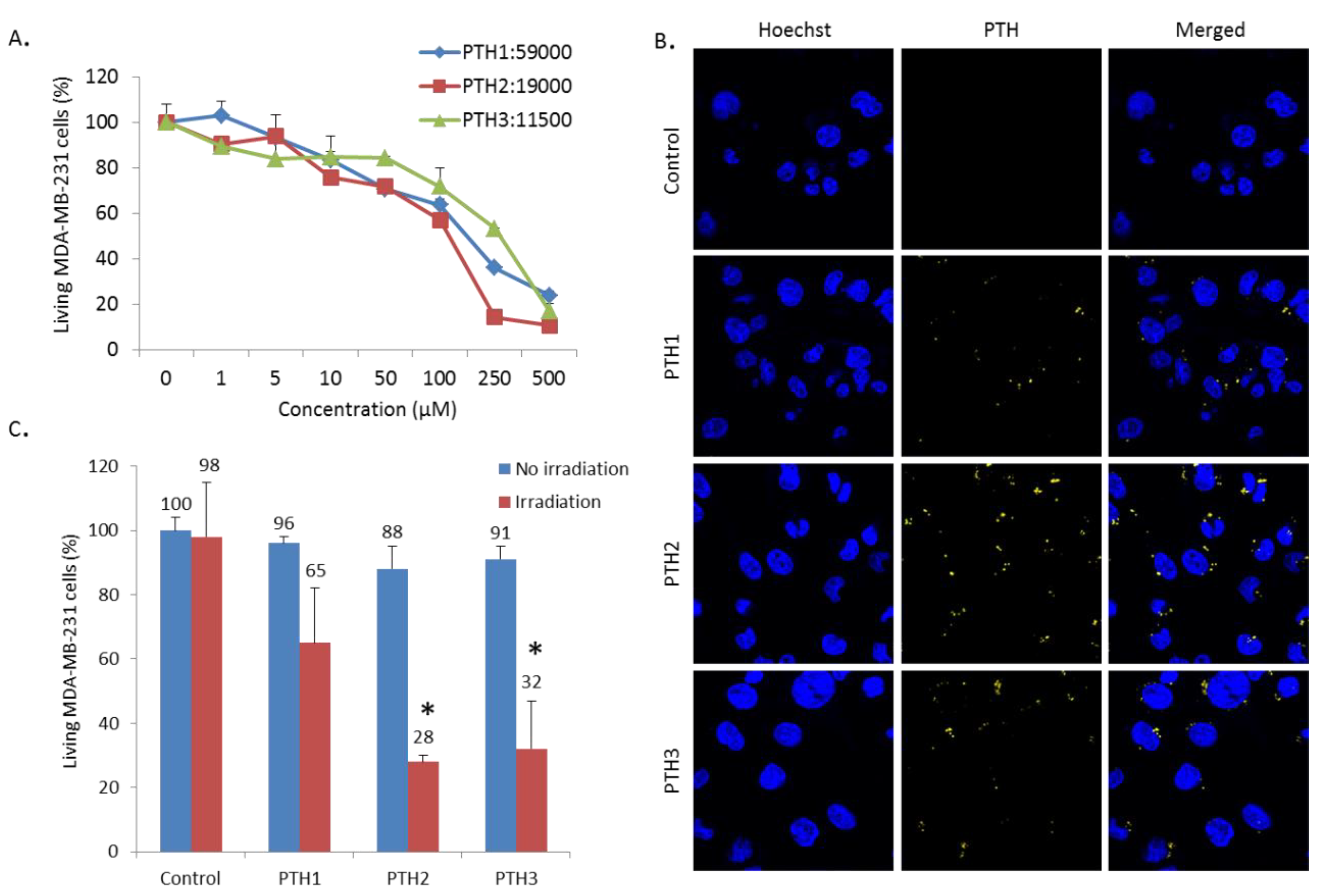 Nanomaterials 10 01432 g002