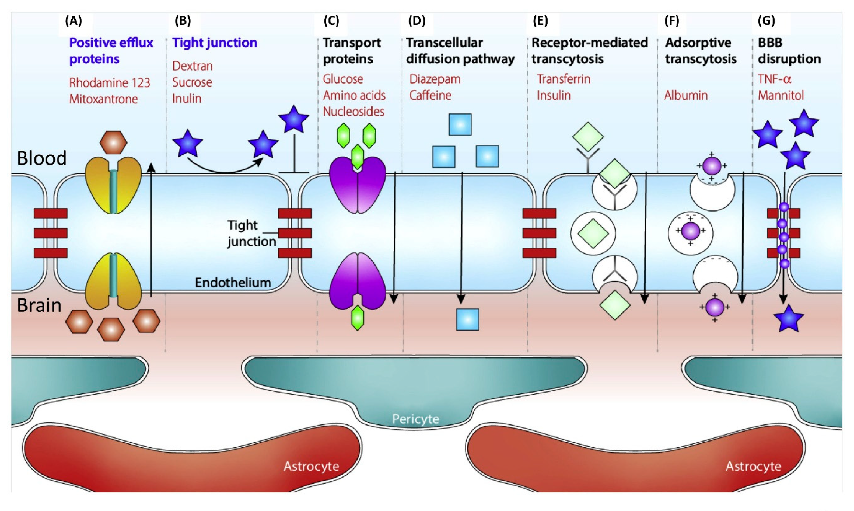 Nanomaterials 10 01441 g003