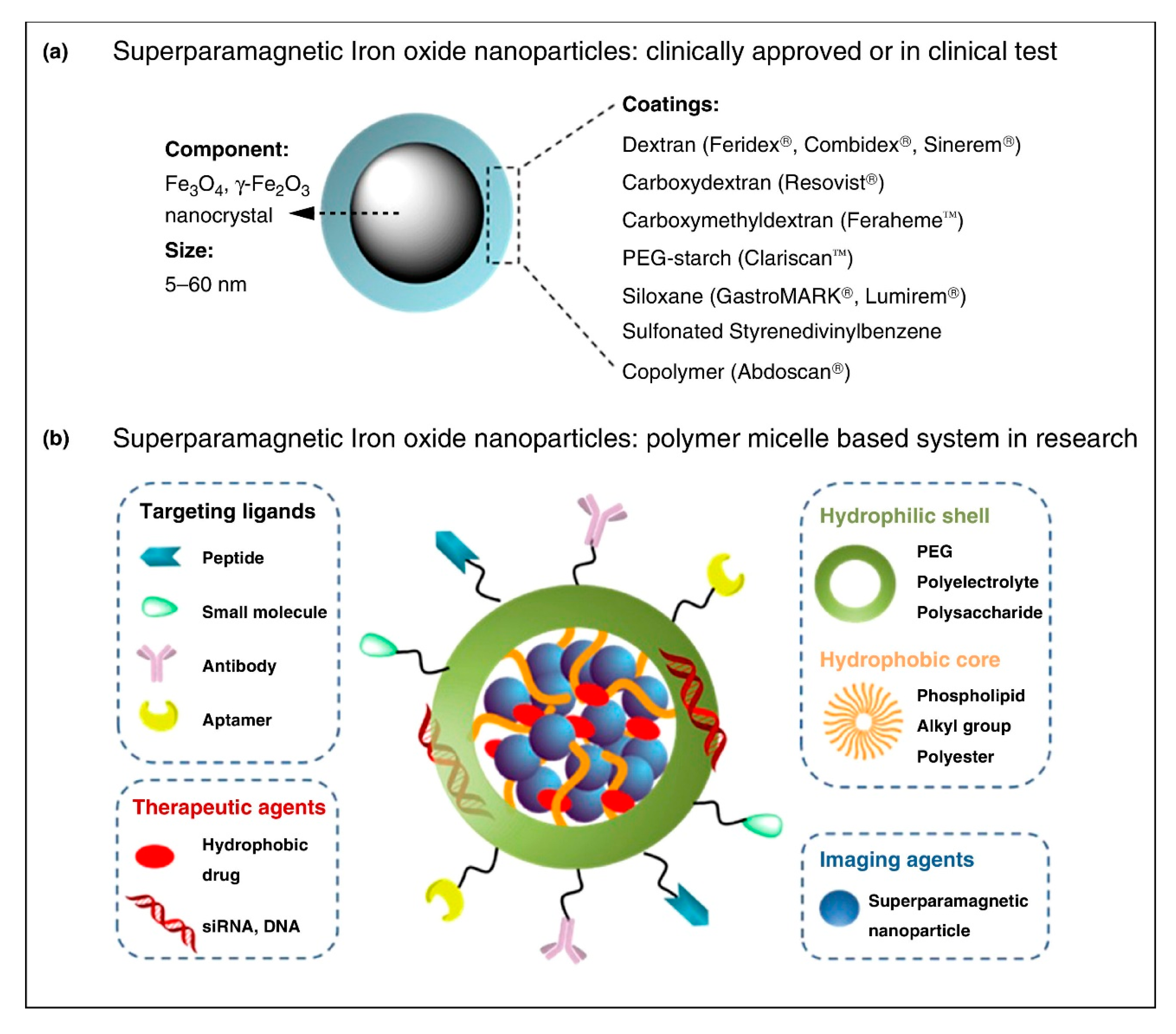 Nanomaterials 10 01441 g004
