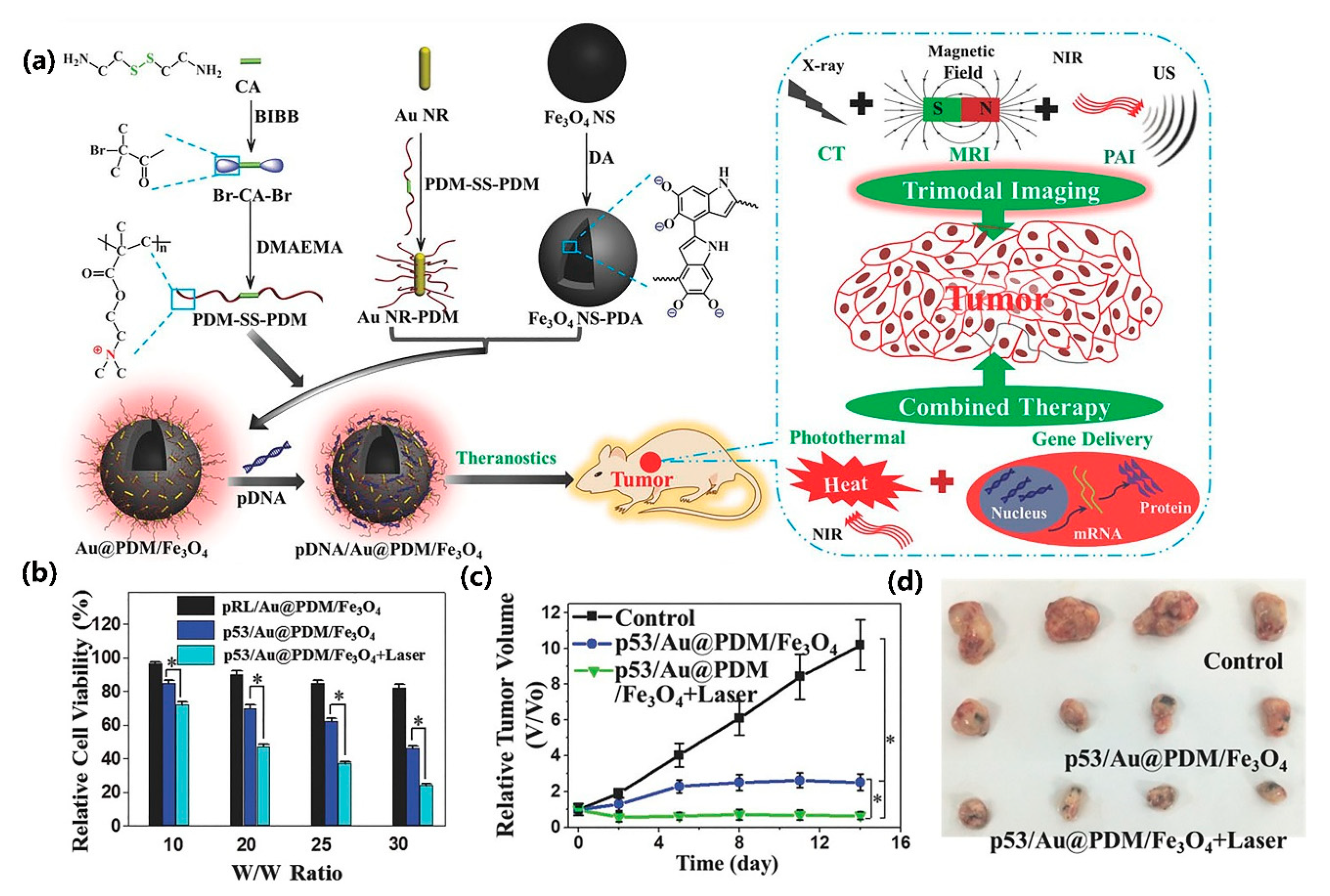Nanomaterials 10 01441 g008