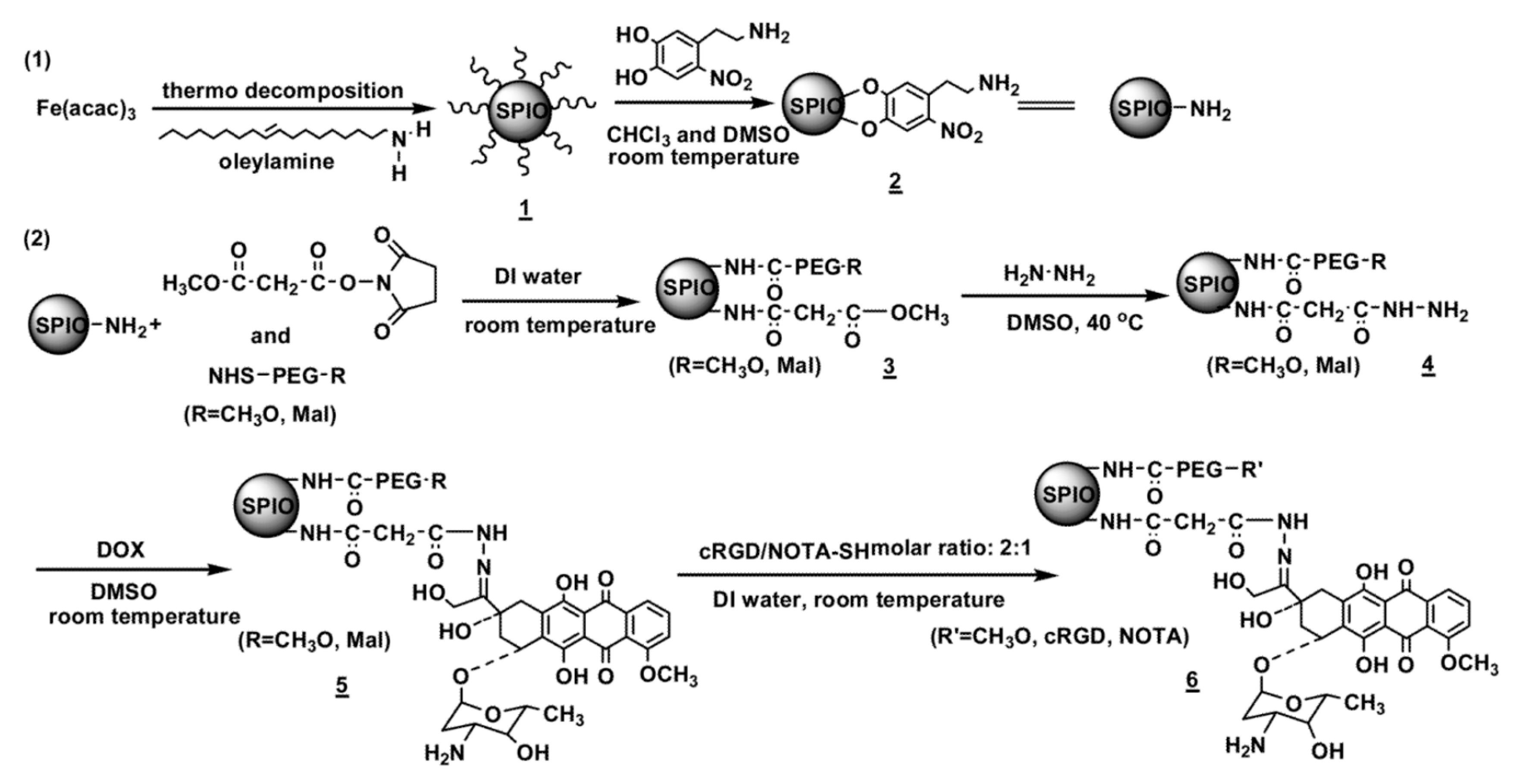 Nanomaterials 10 01441 sch001