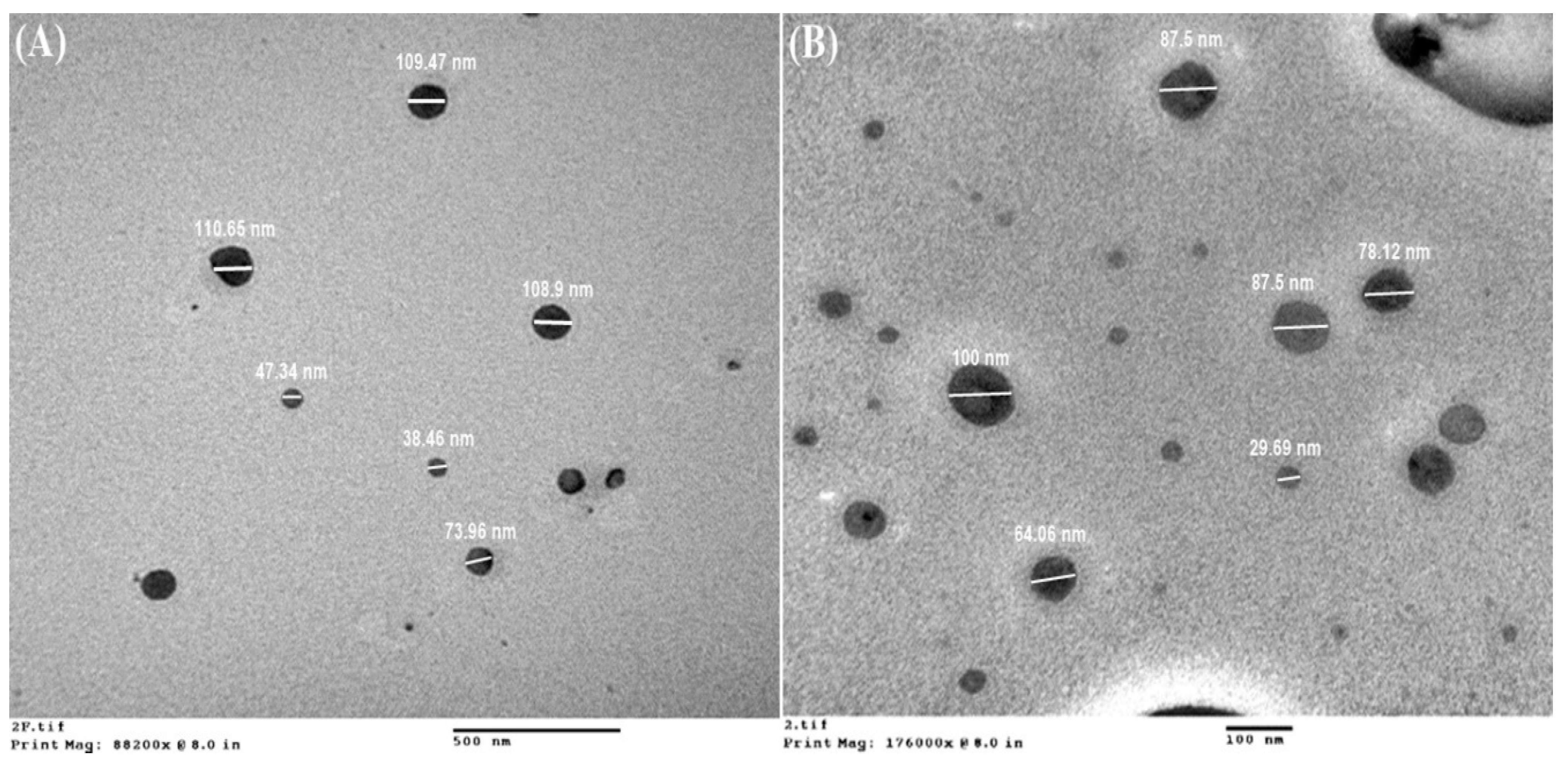 Nanomaterials 10 01452 g006